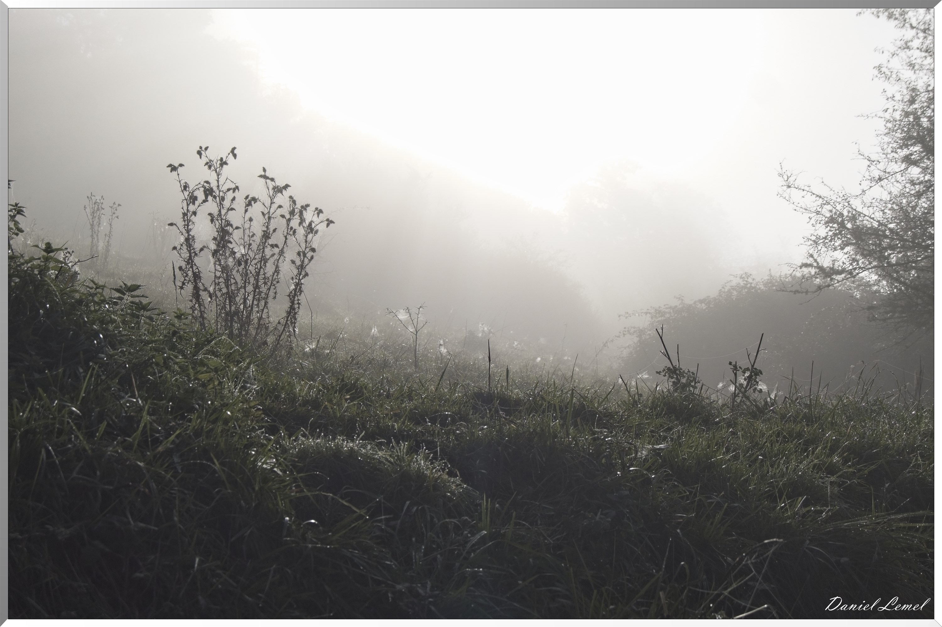 Ste-Geneviève-lès-Gasny