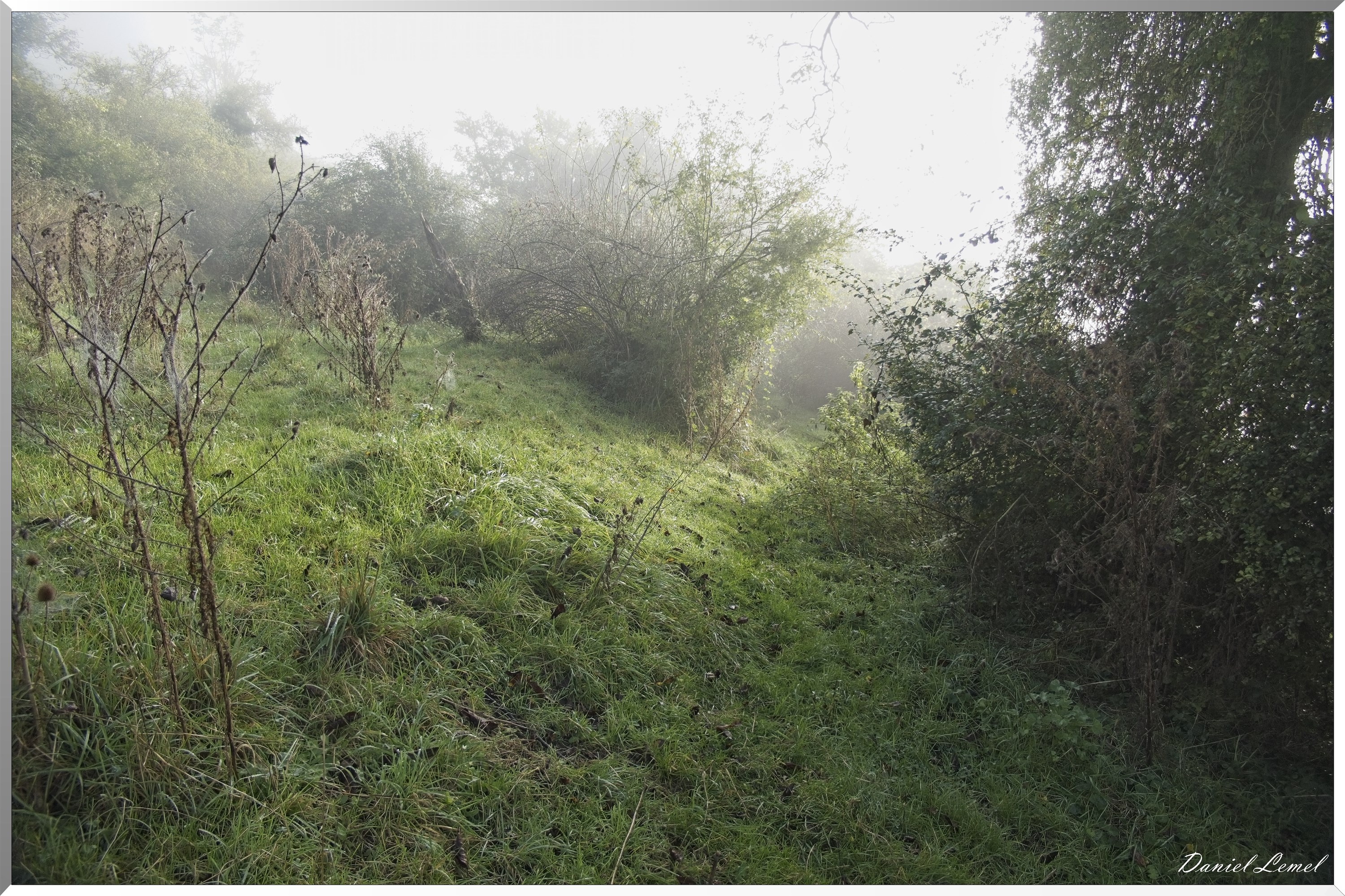 Ste-Geneviève-lès-Gasny