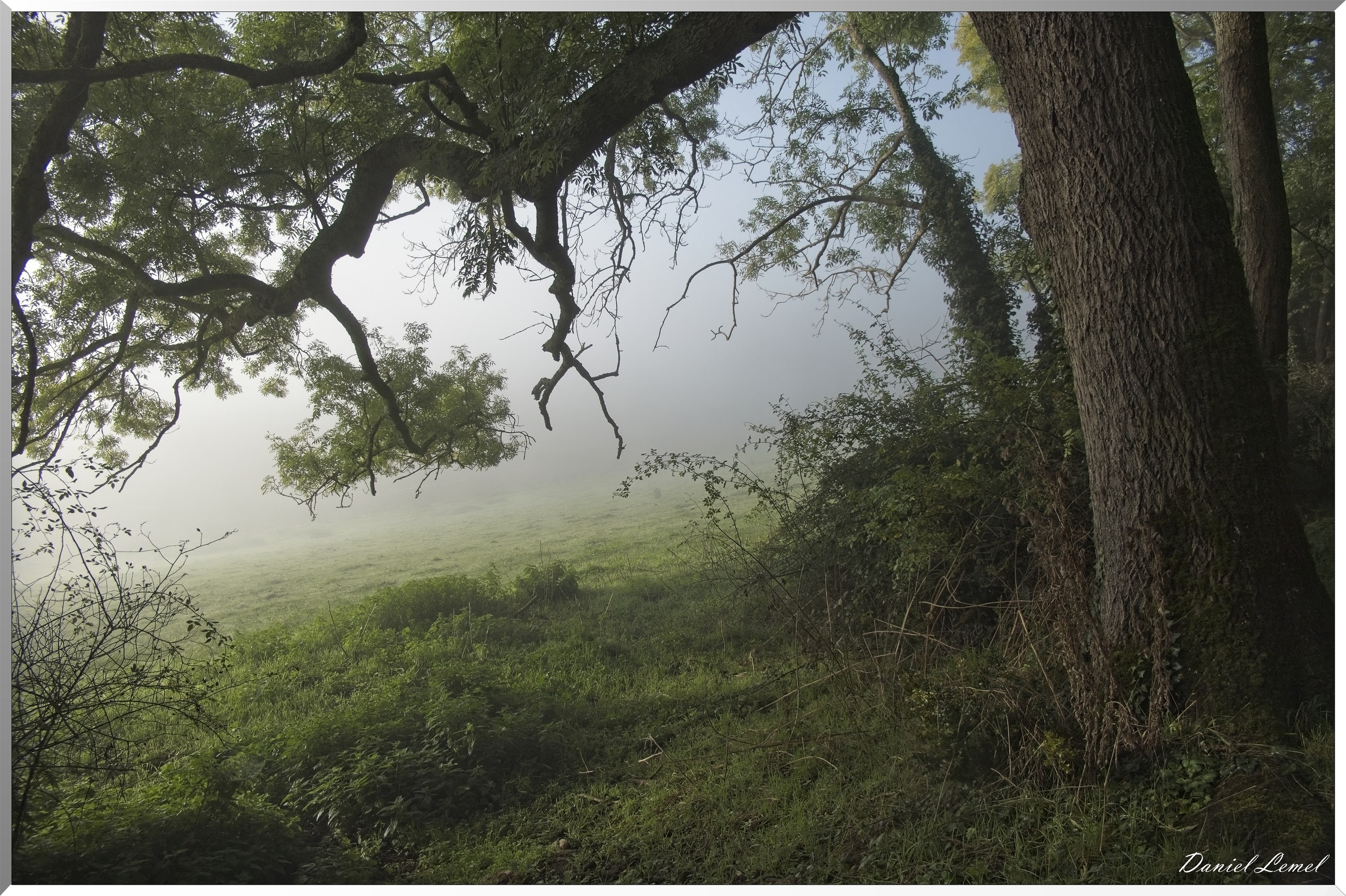 Ste-Geneviève-lès-Gasny
