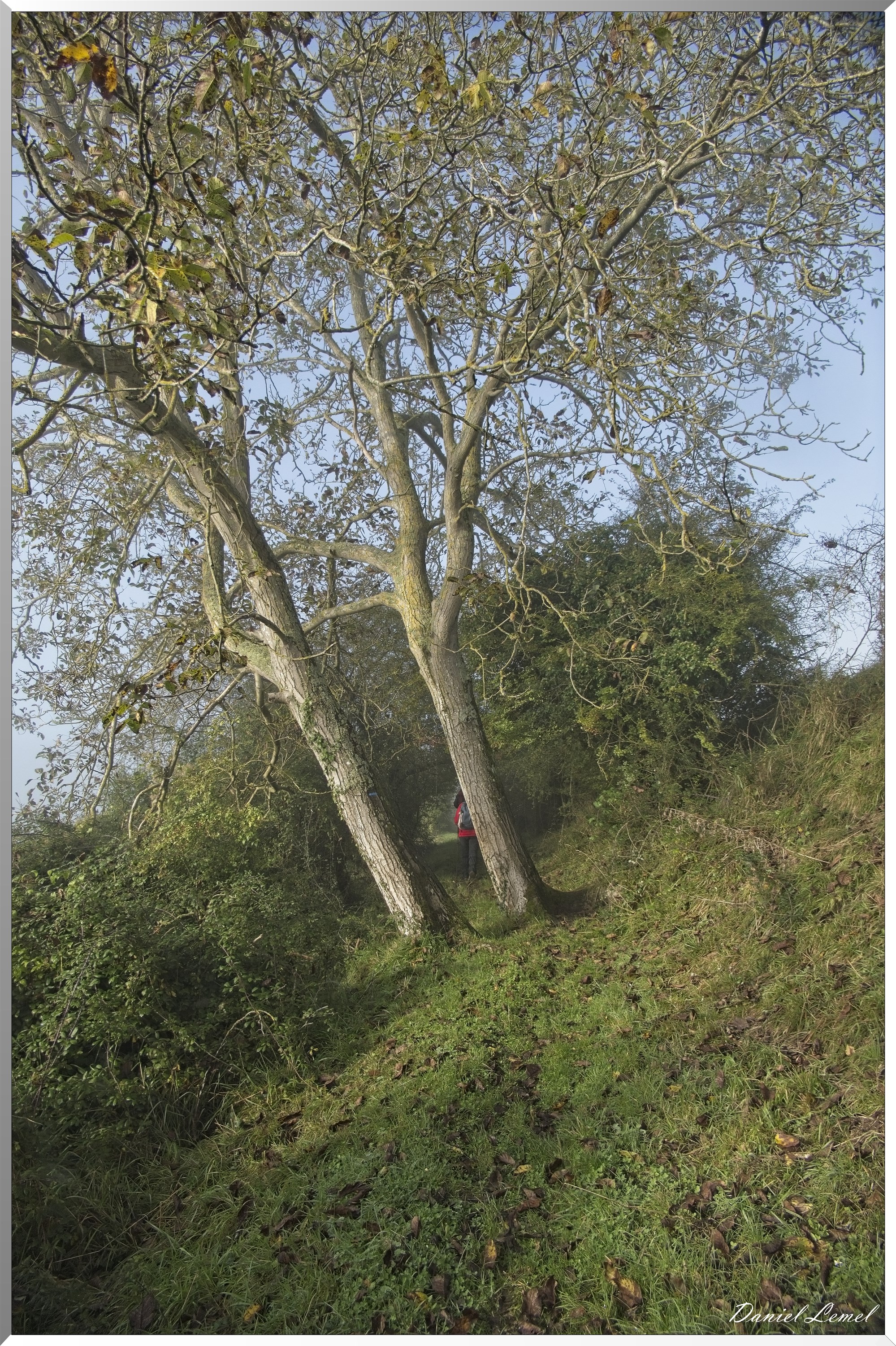 Ste-Geneviève-lès-Gasny