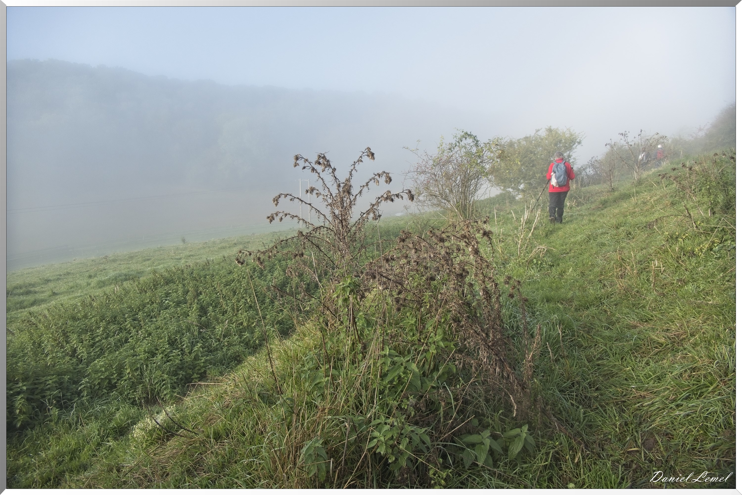 Ste-Geneviève-lès-Gasny
