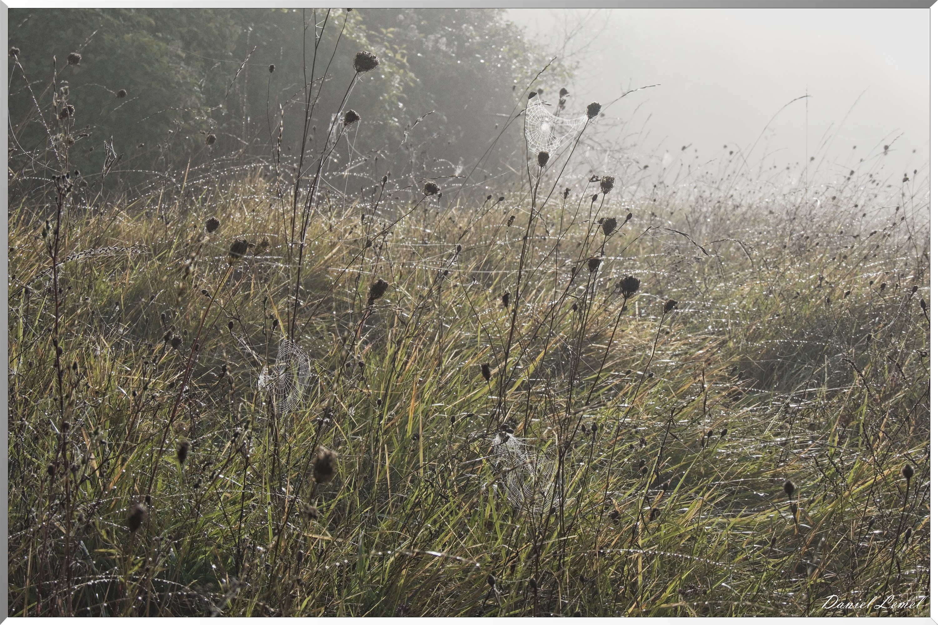 Ste-Geneviève-lès-Gasny
