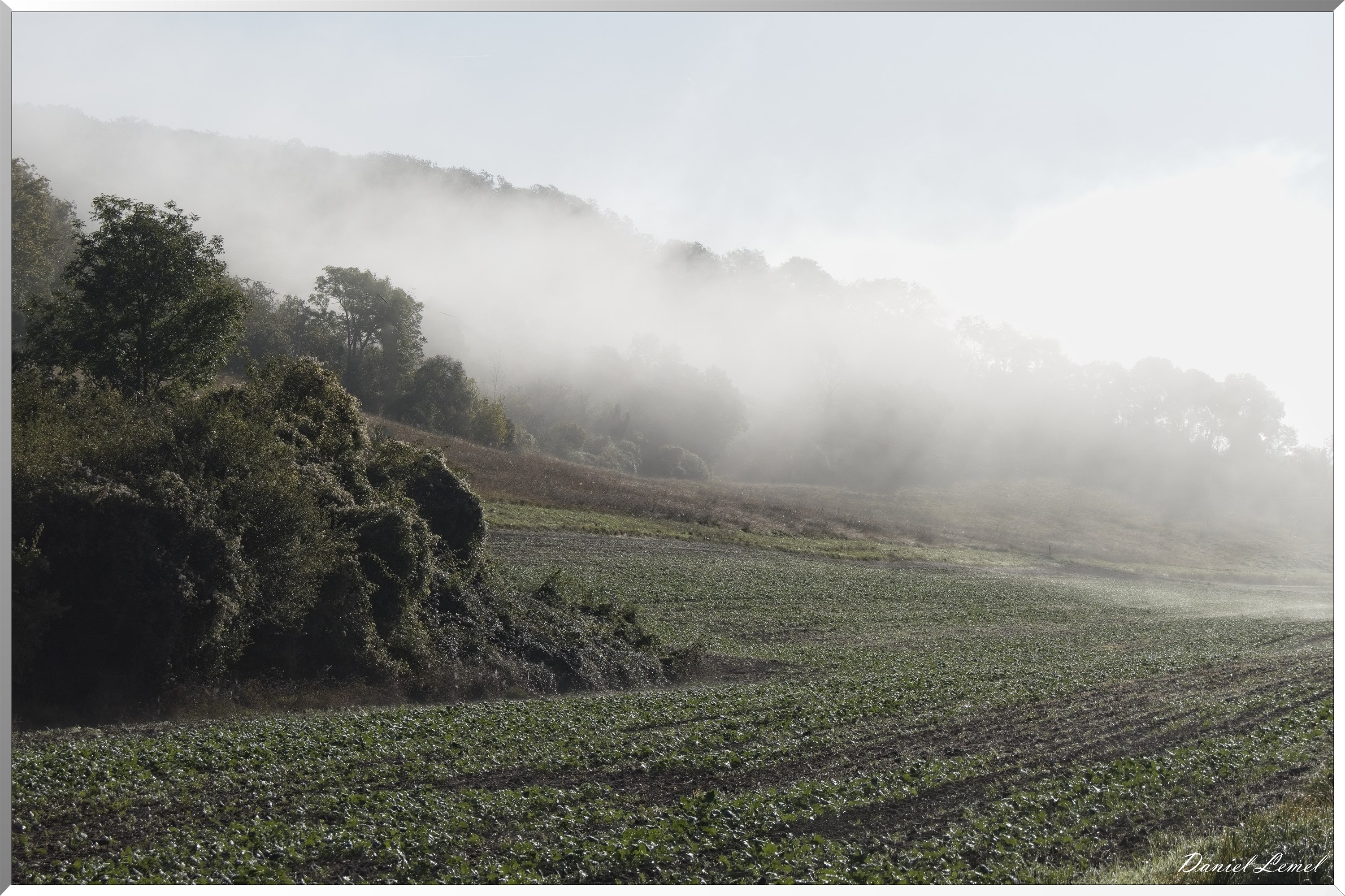 Ste-Geneviève-lès-Gasny