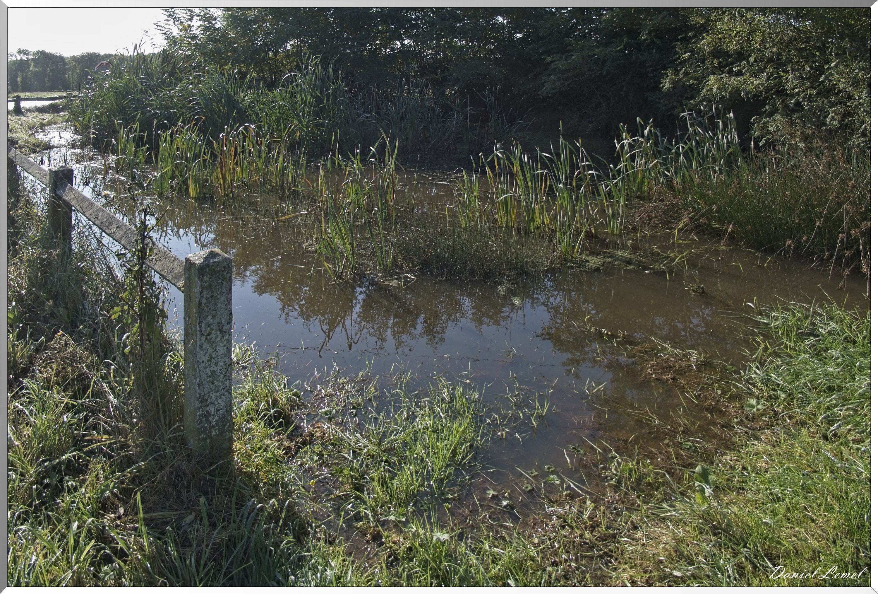 Ste-Geneviève-lès-Gasny