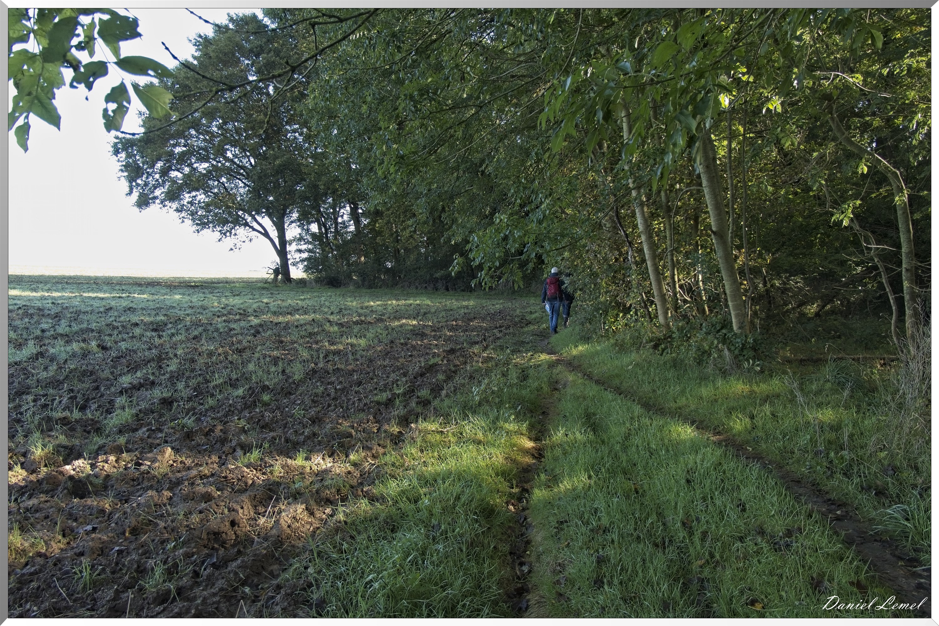 Ste-Geneviève-lès-Gasny