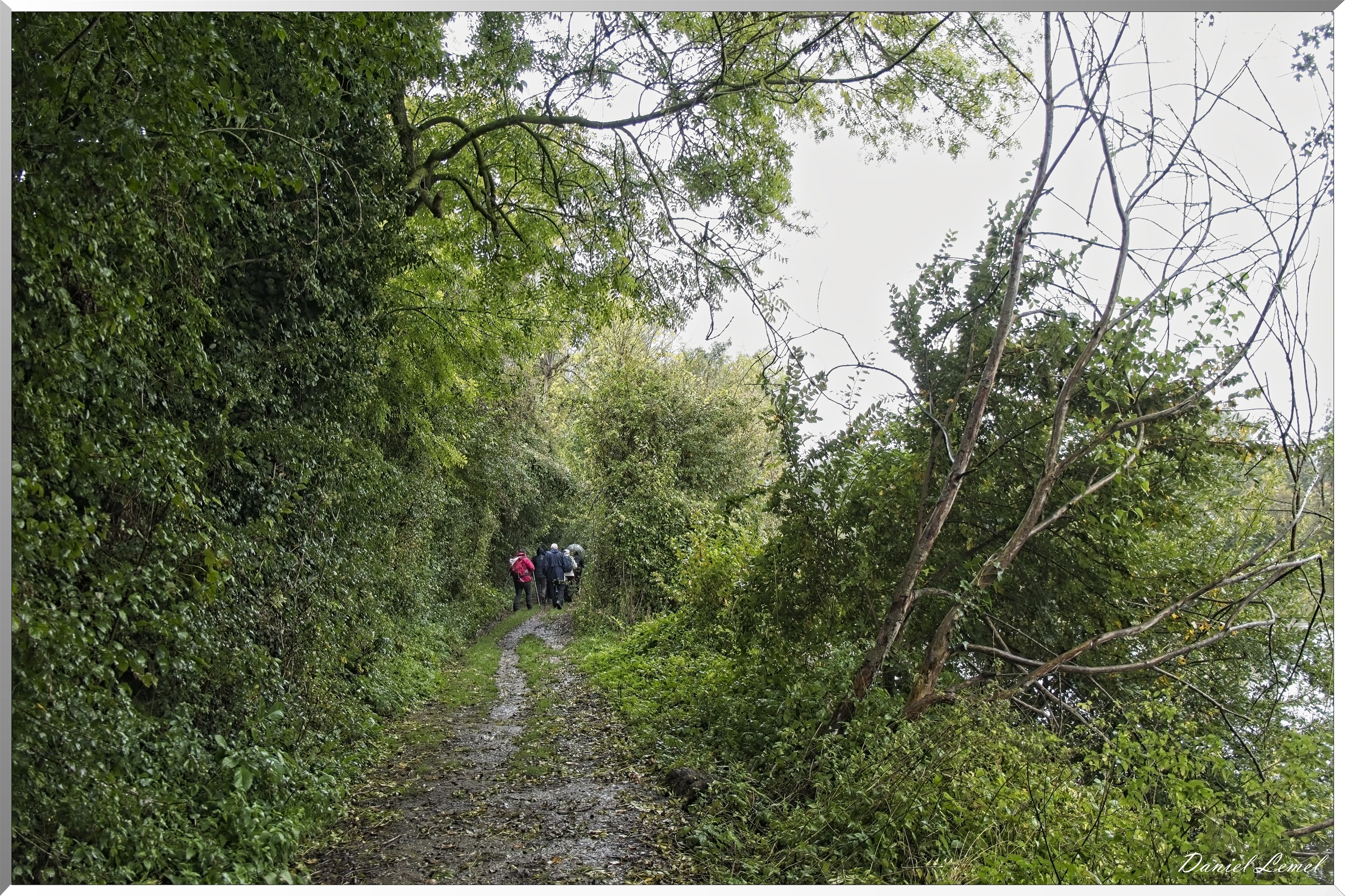 Pressagny l'orgueilleux