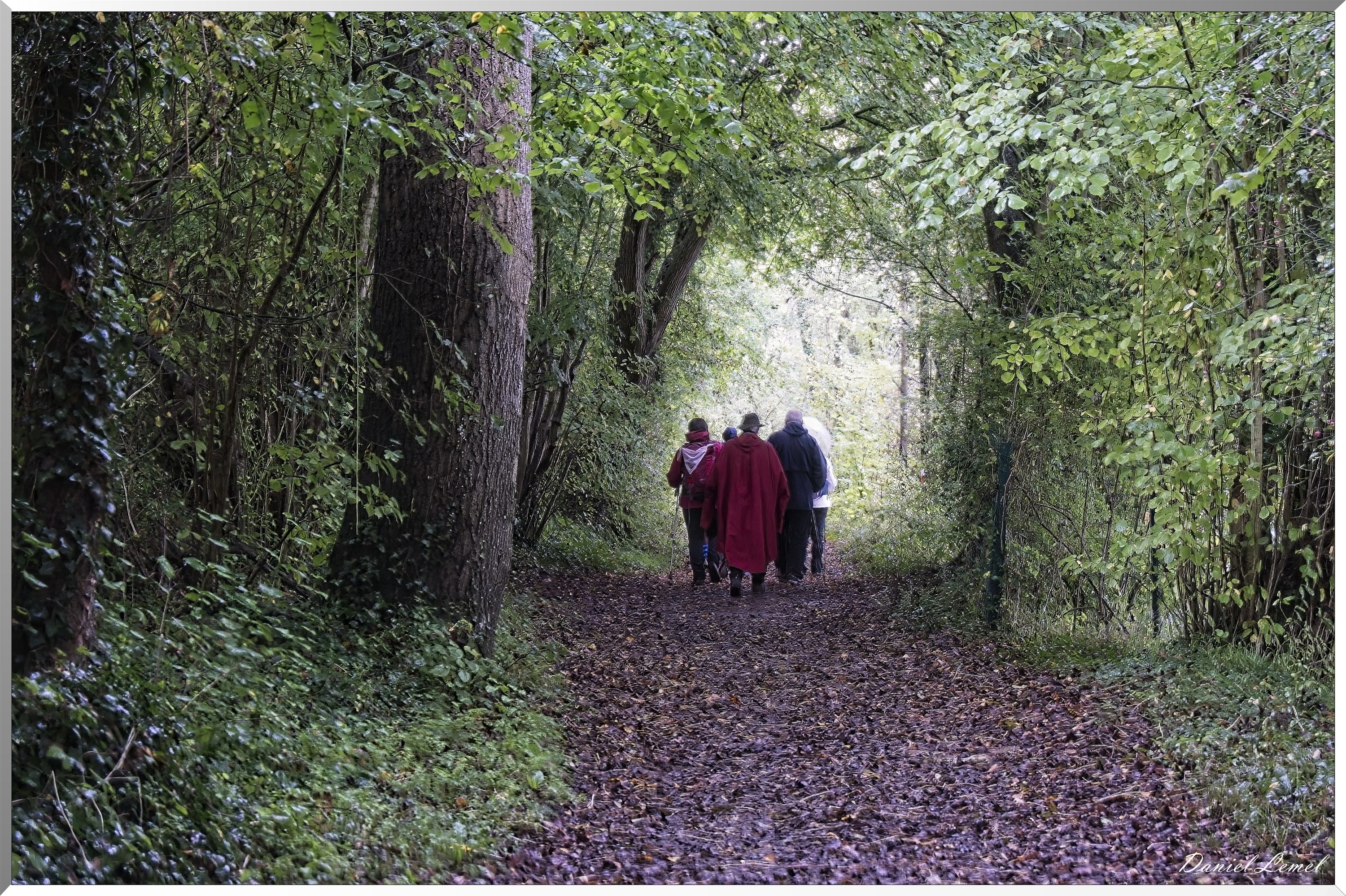 Pressagny l'orgueilleux