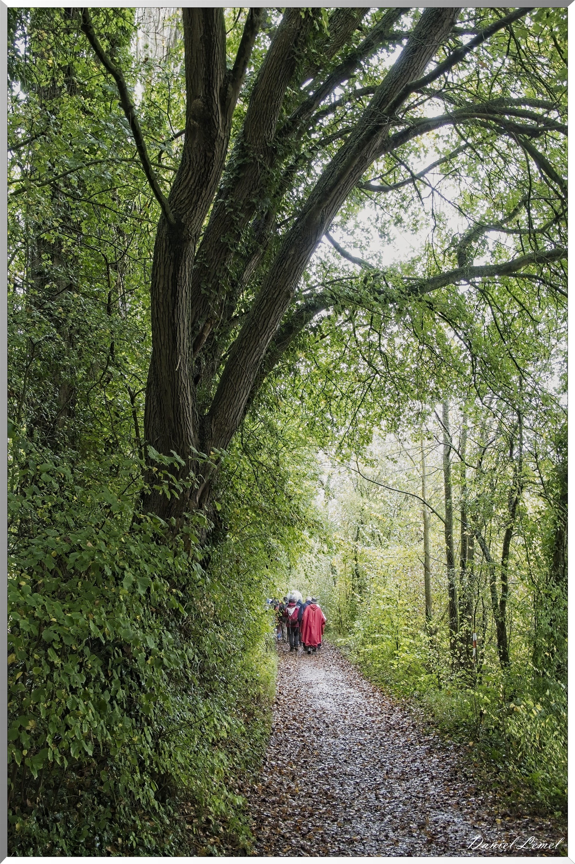 Pressagny l'orgueilleux