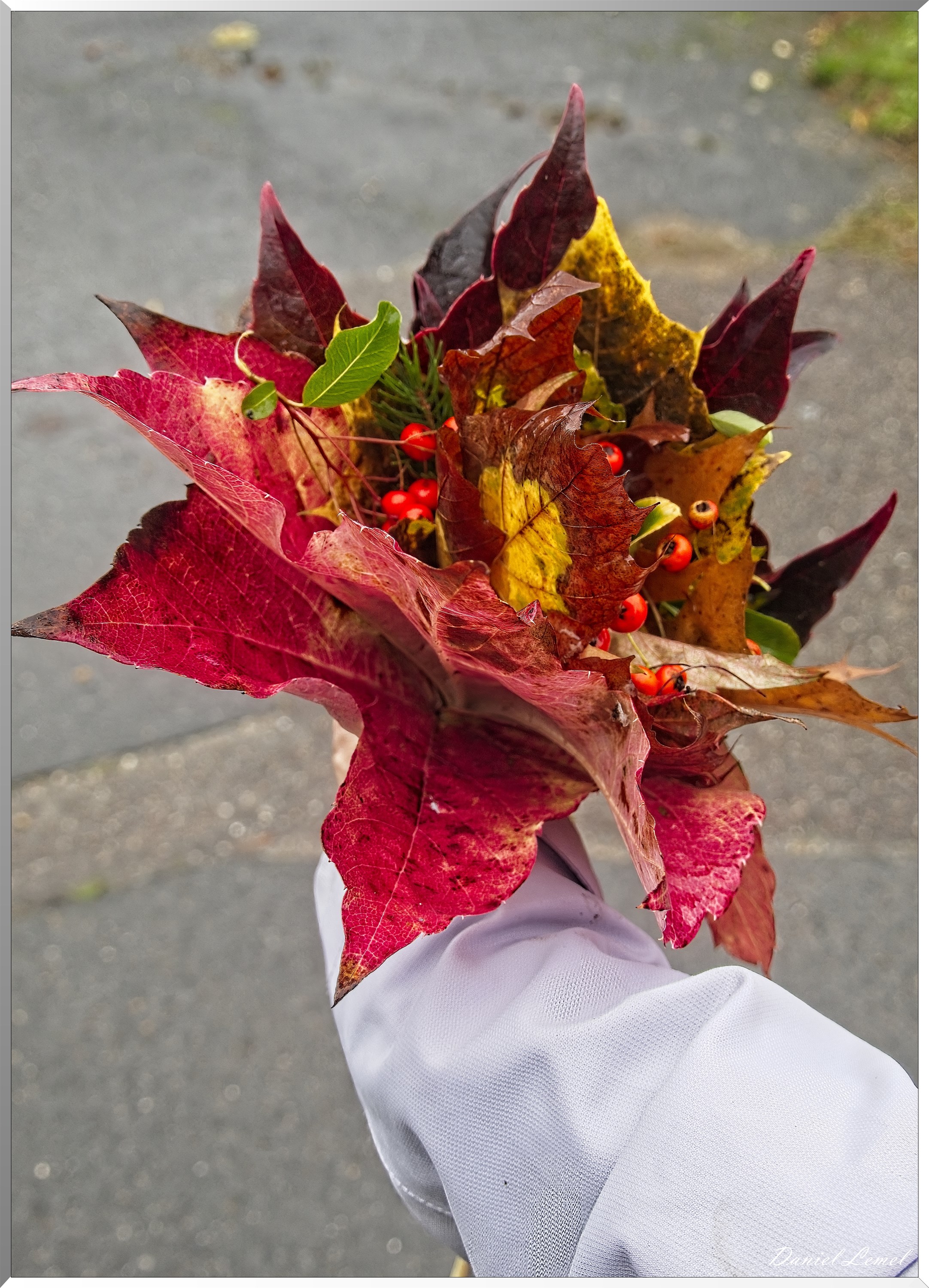 Pressagny l'orgueilleux