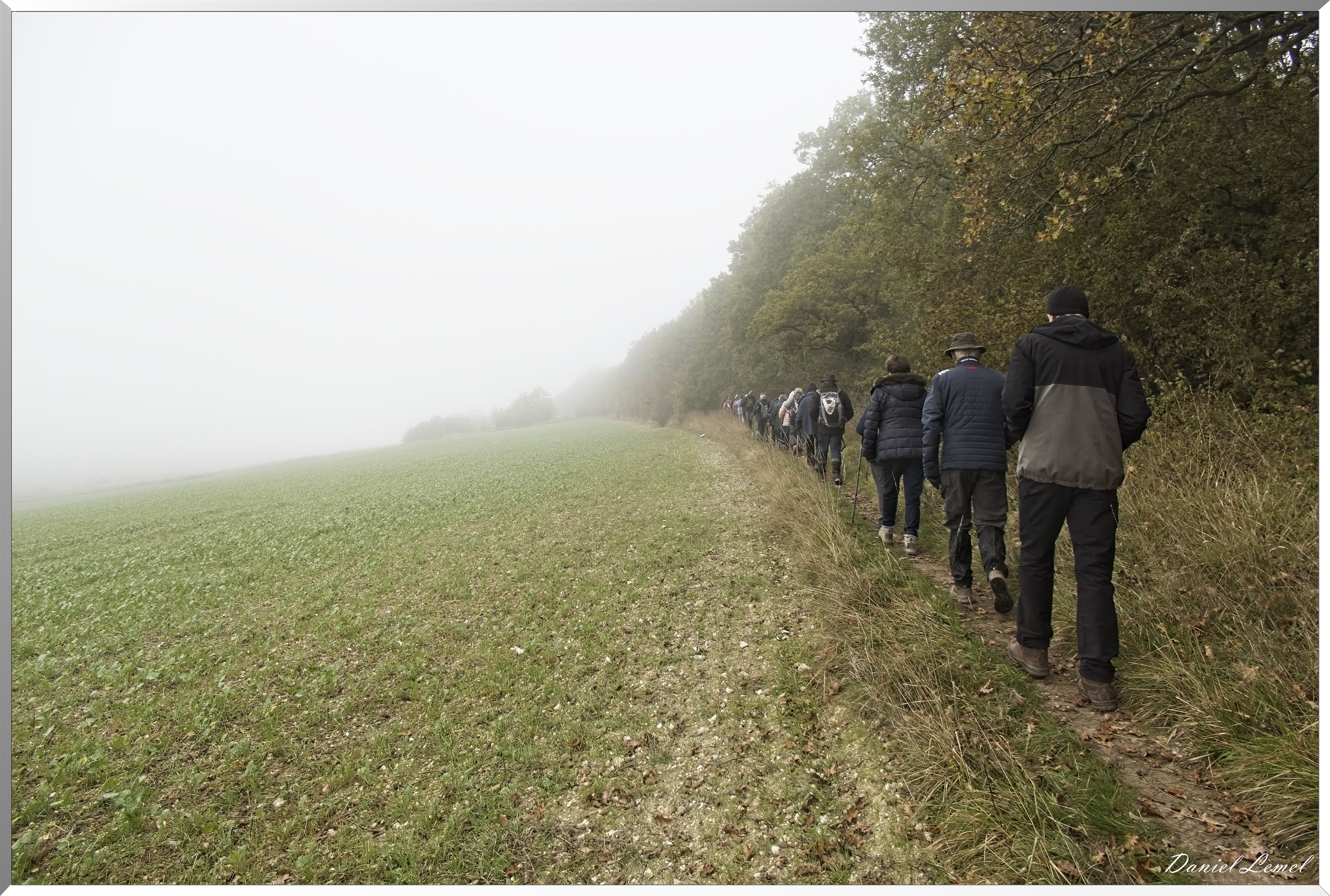 Arboretum de la Roche-Guyon