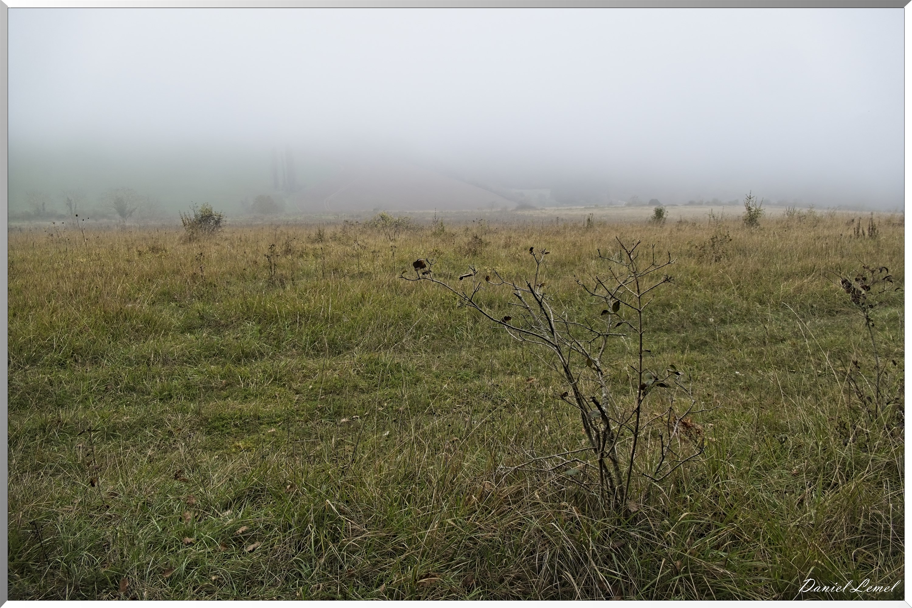 Arboretum de la Roche-Guyon
