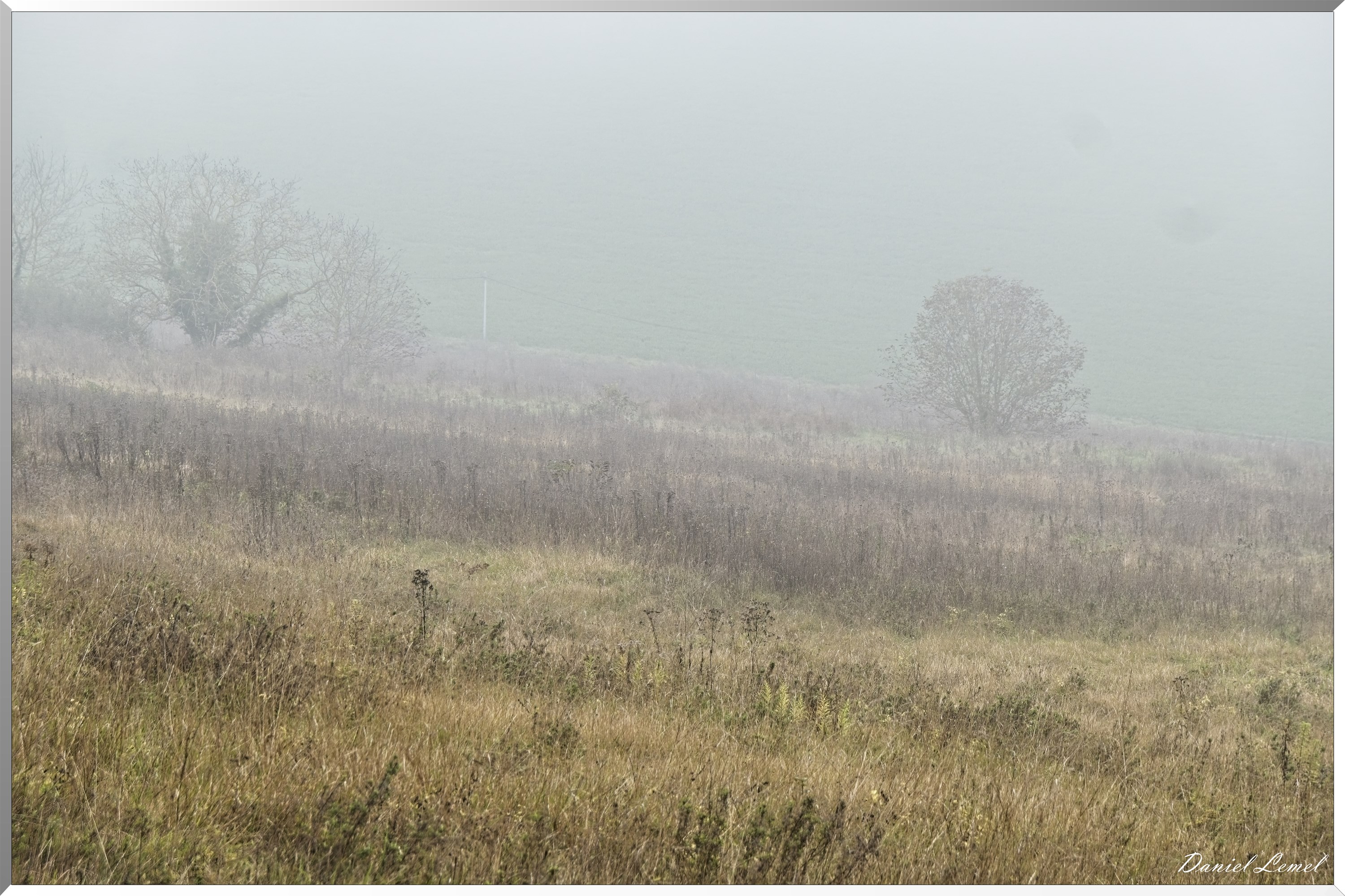 Arboretum de la Roche-Guyon