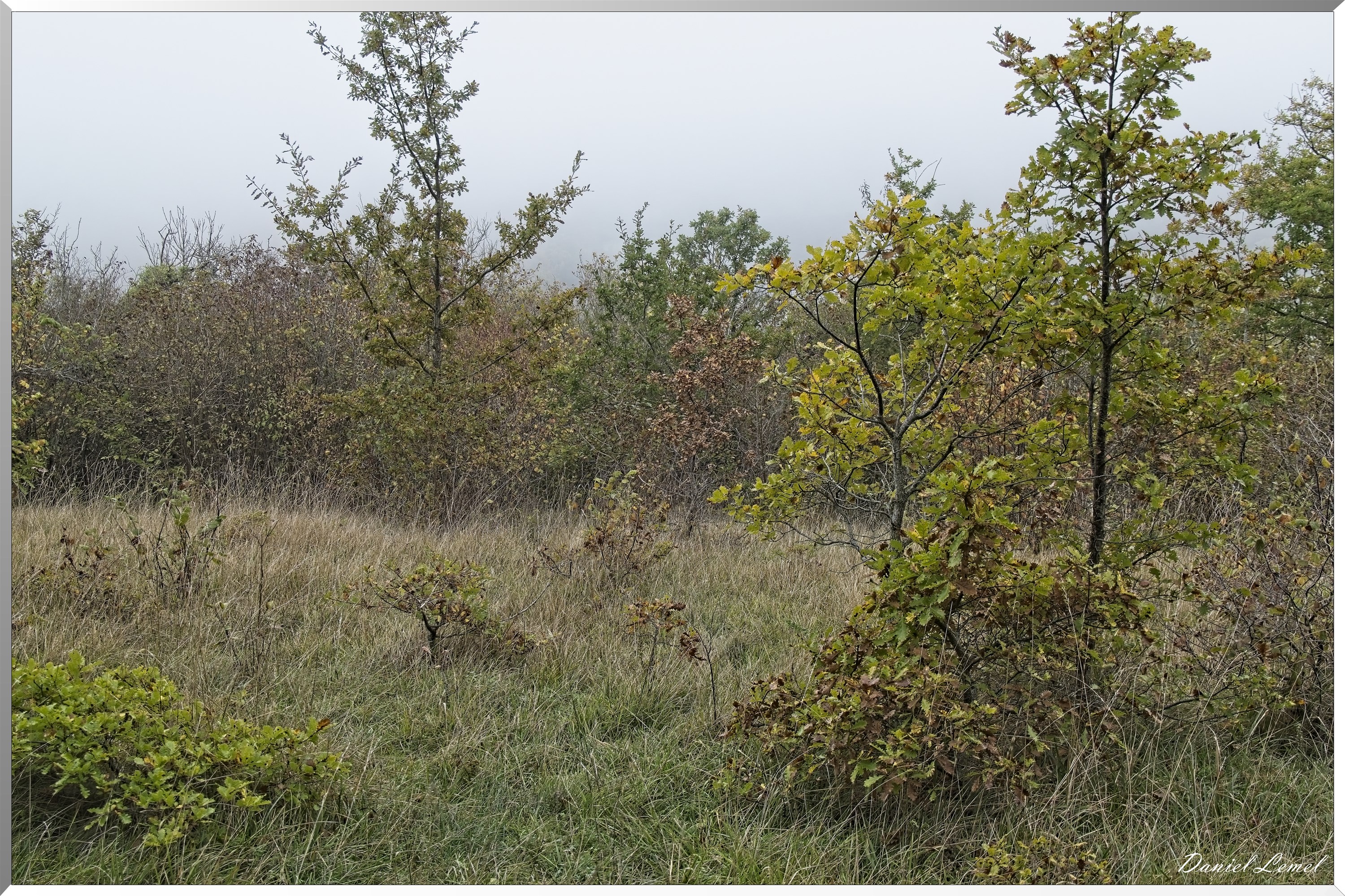 Arboretum de la Roche-Guyon