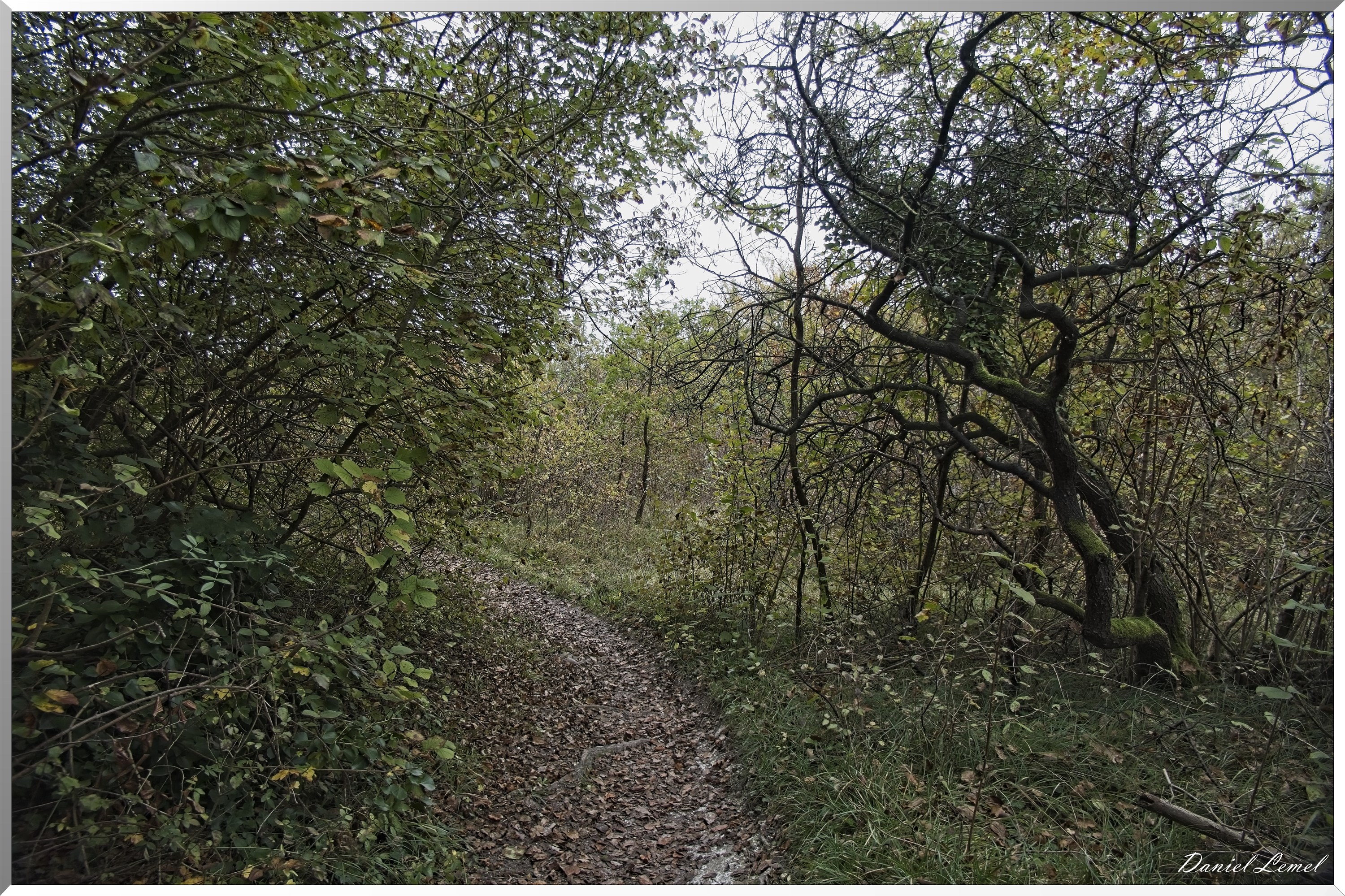 Arboretum de la Roche-Guyon