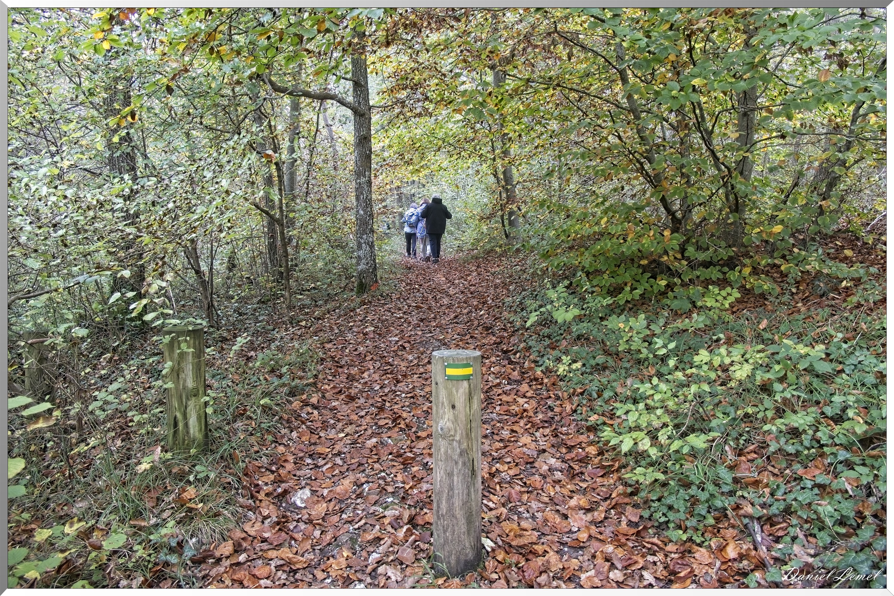 Arboretum de la Roche-Guyon