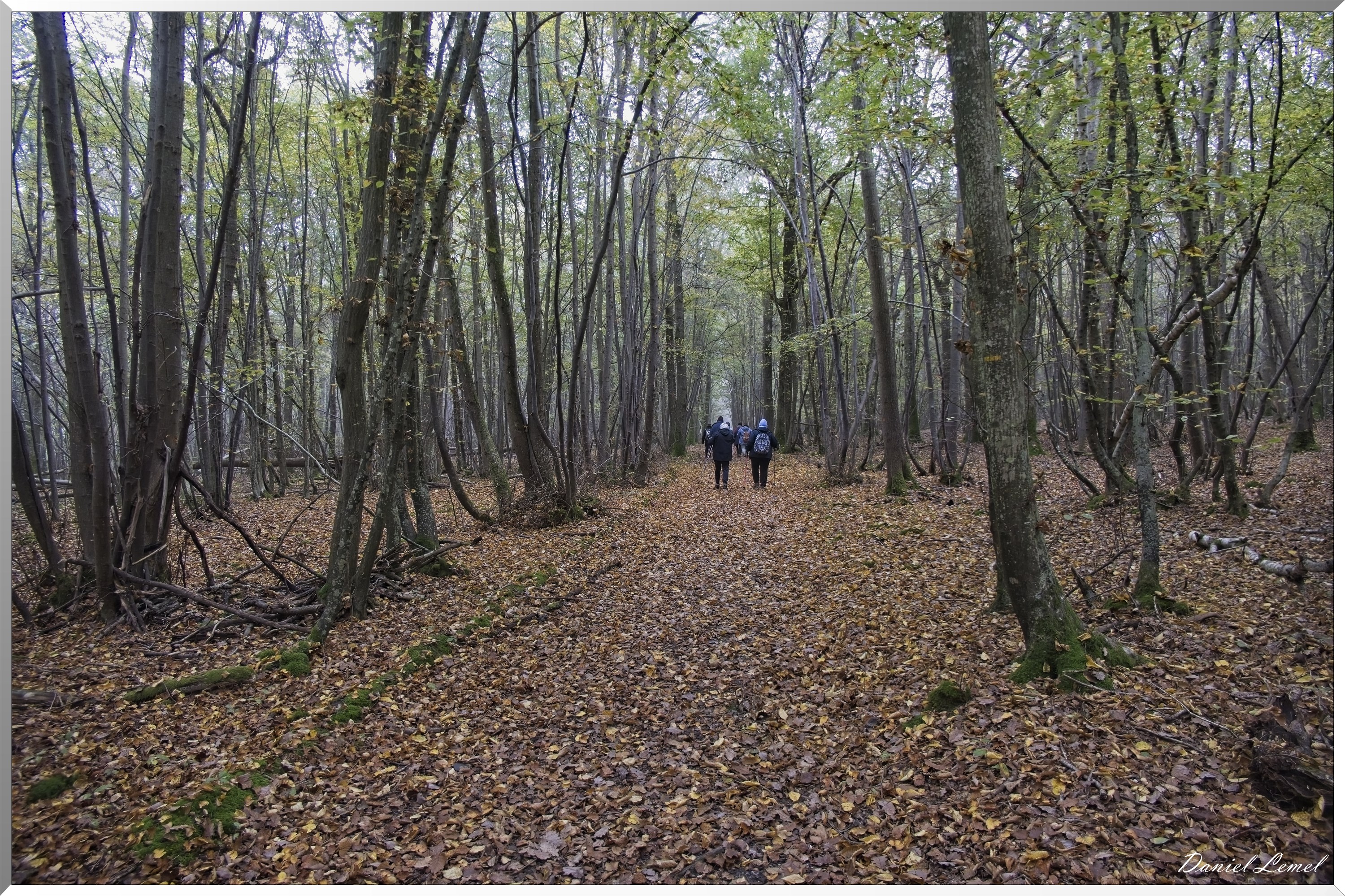 Arboretum de la Roche-Guyon