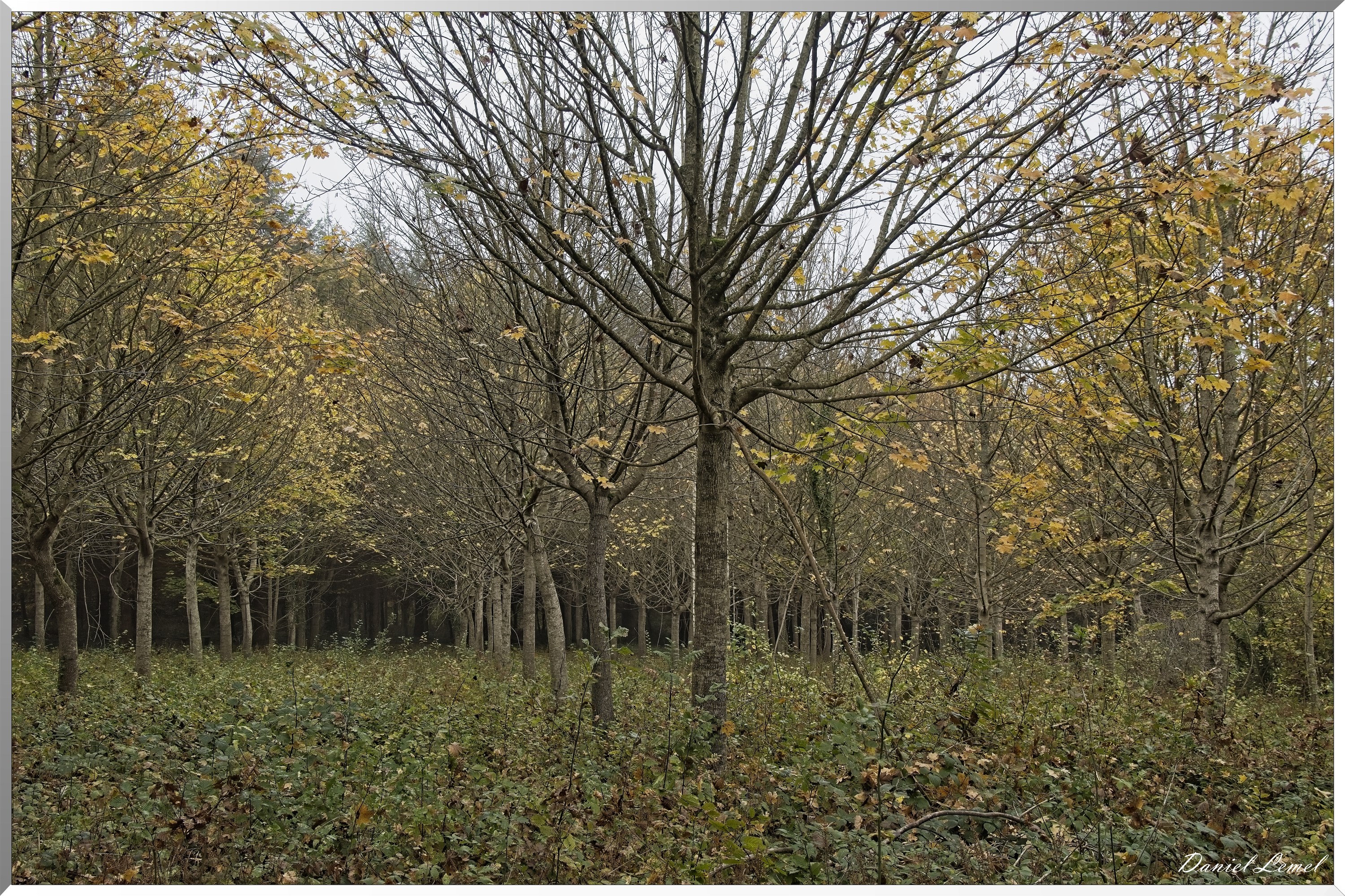 Arboretum de la Roche-Guyon