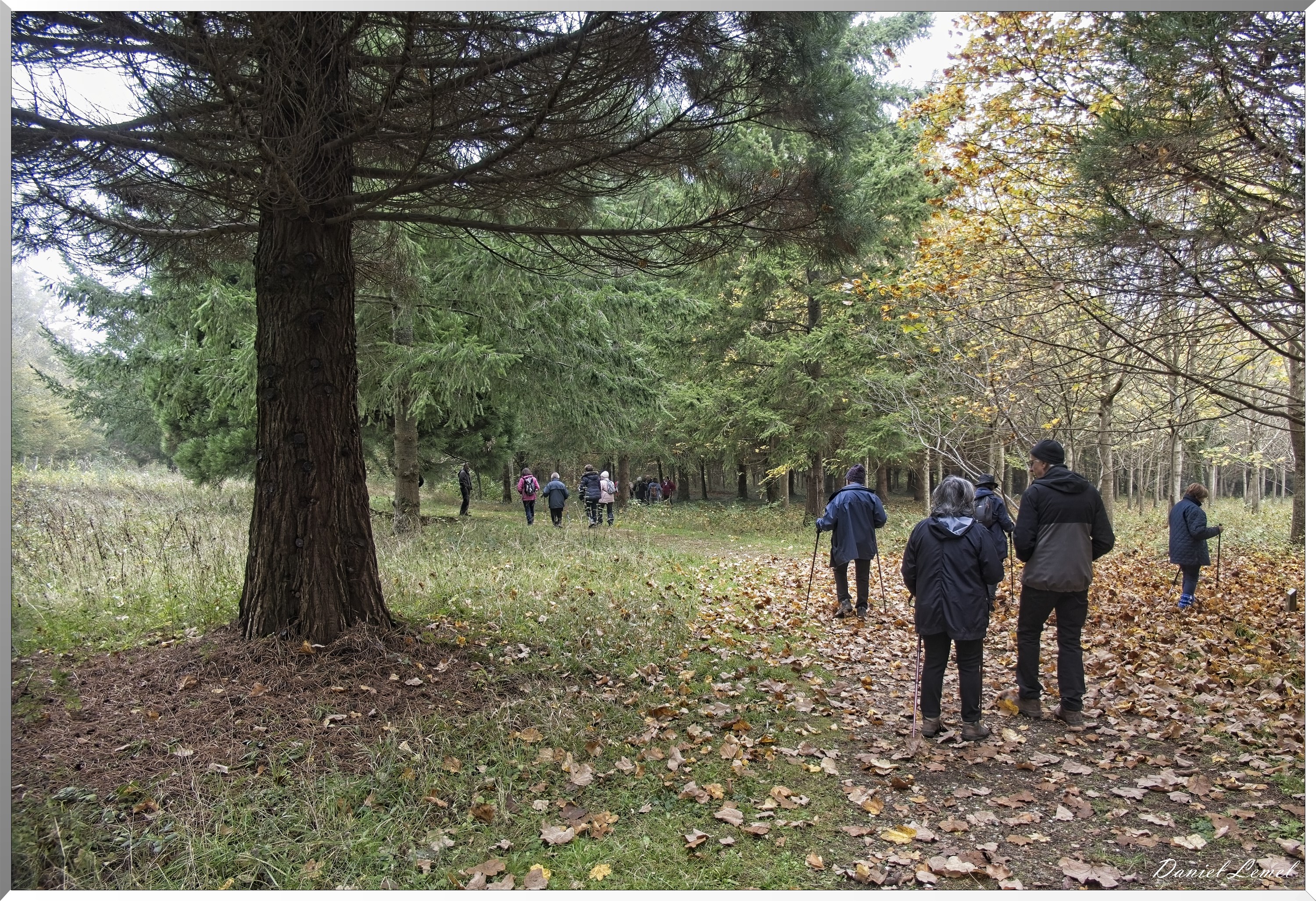 Arboretum de la Roche-Guyon