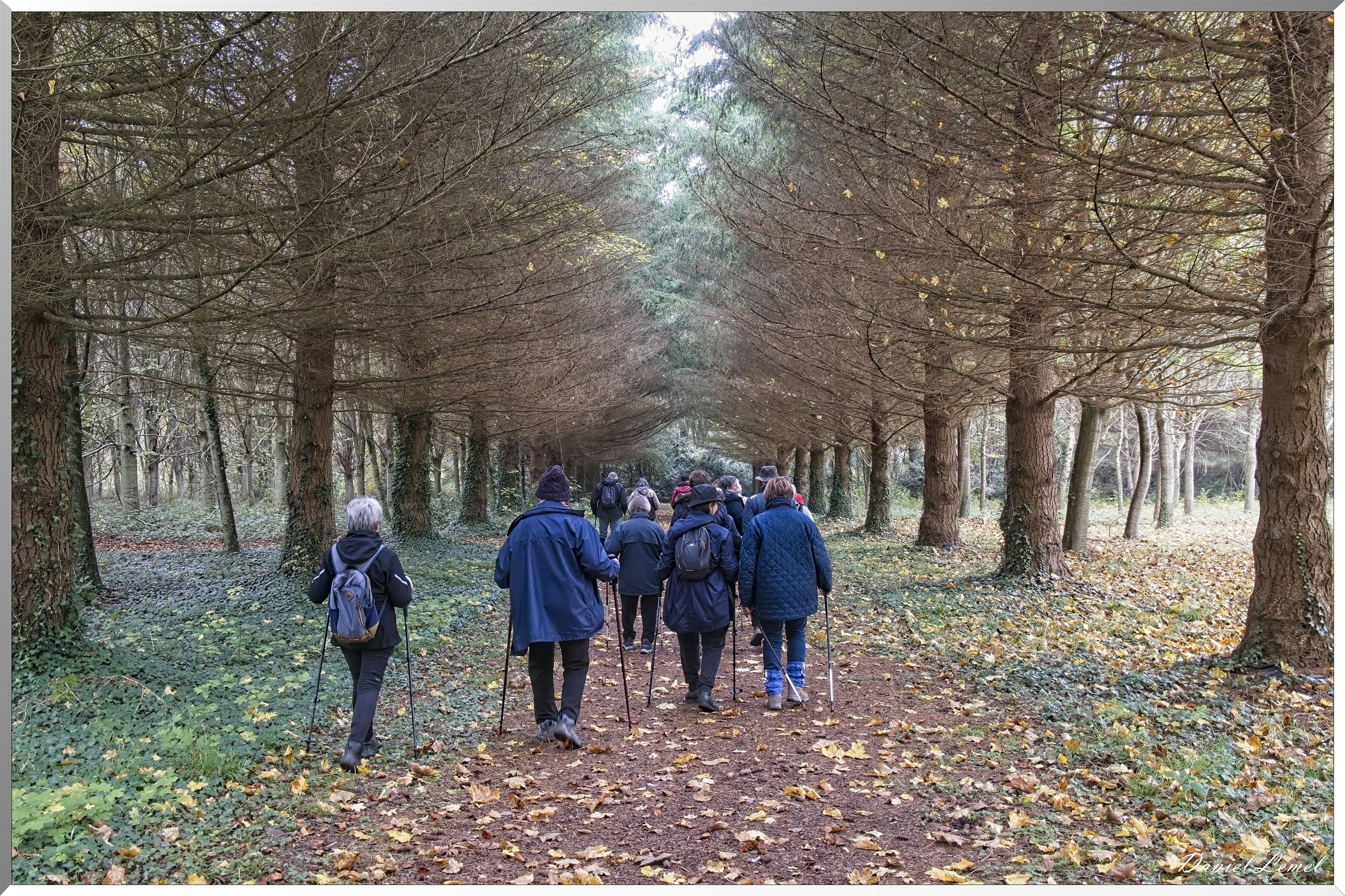 Arboretum de la Roche-Guyon