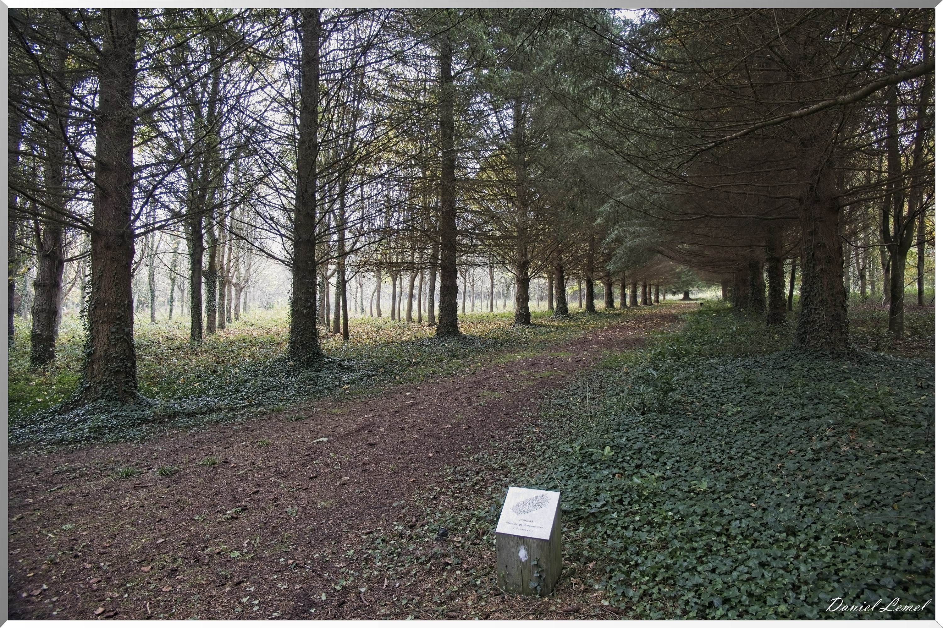 Arboretum de la Roche-Guyon