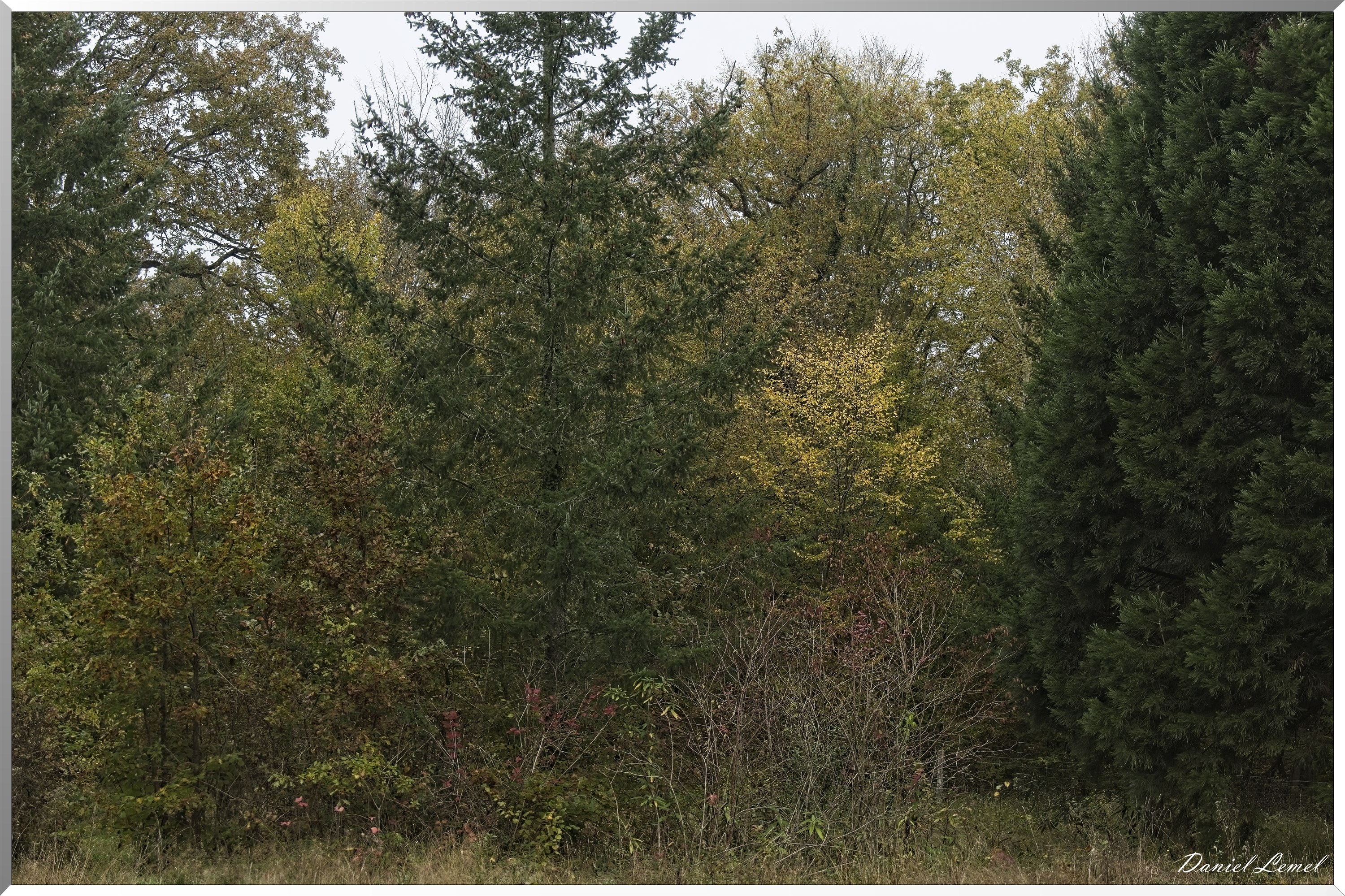 Arboretum de la Roche-Guyon