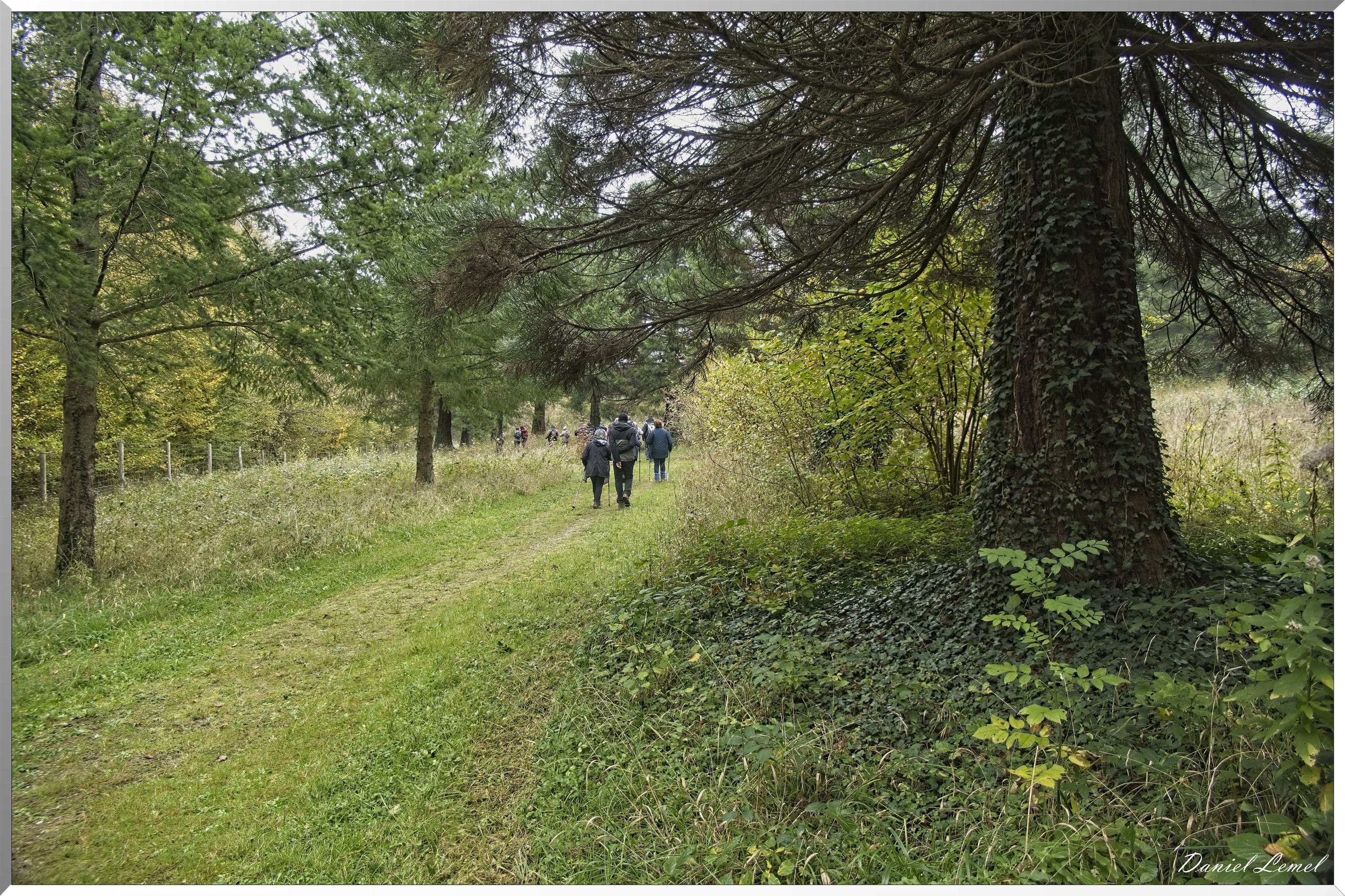 Arboretum de la Roche-Guyon