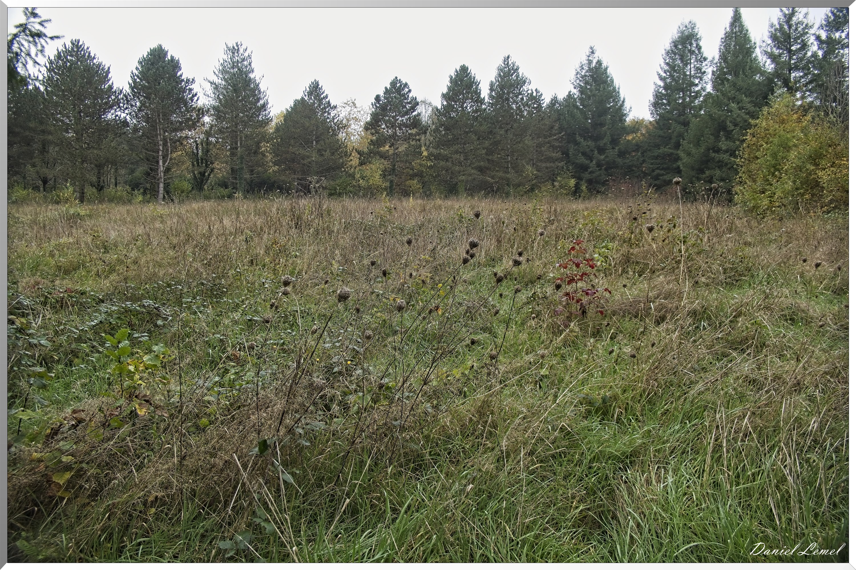 Arboretum de la Roche-Guyon
