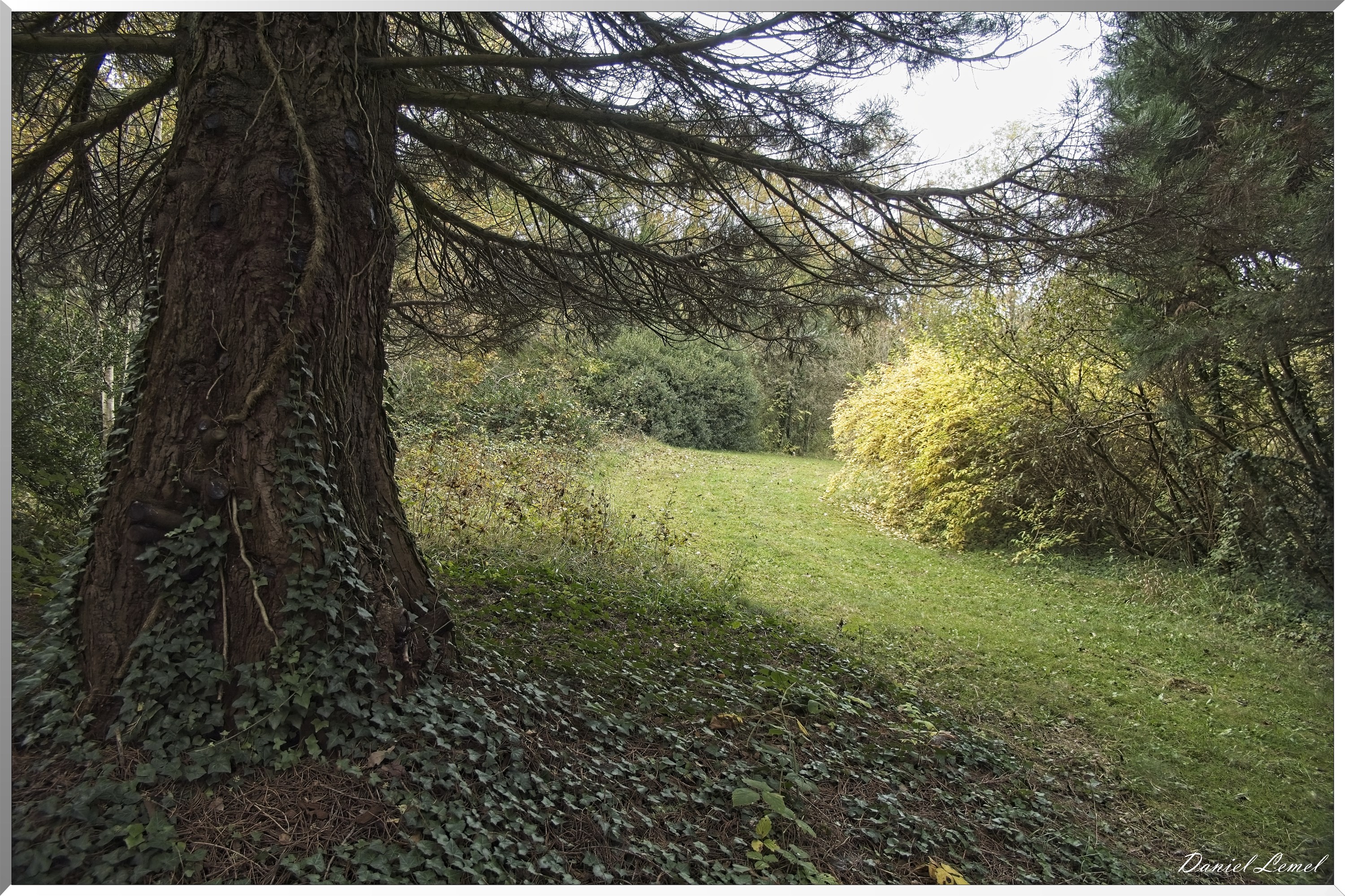 Arboretum de la Roche-Guyon