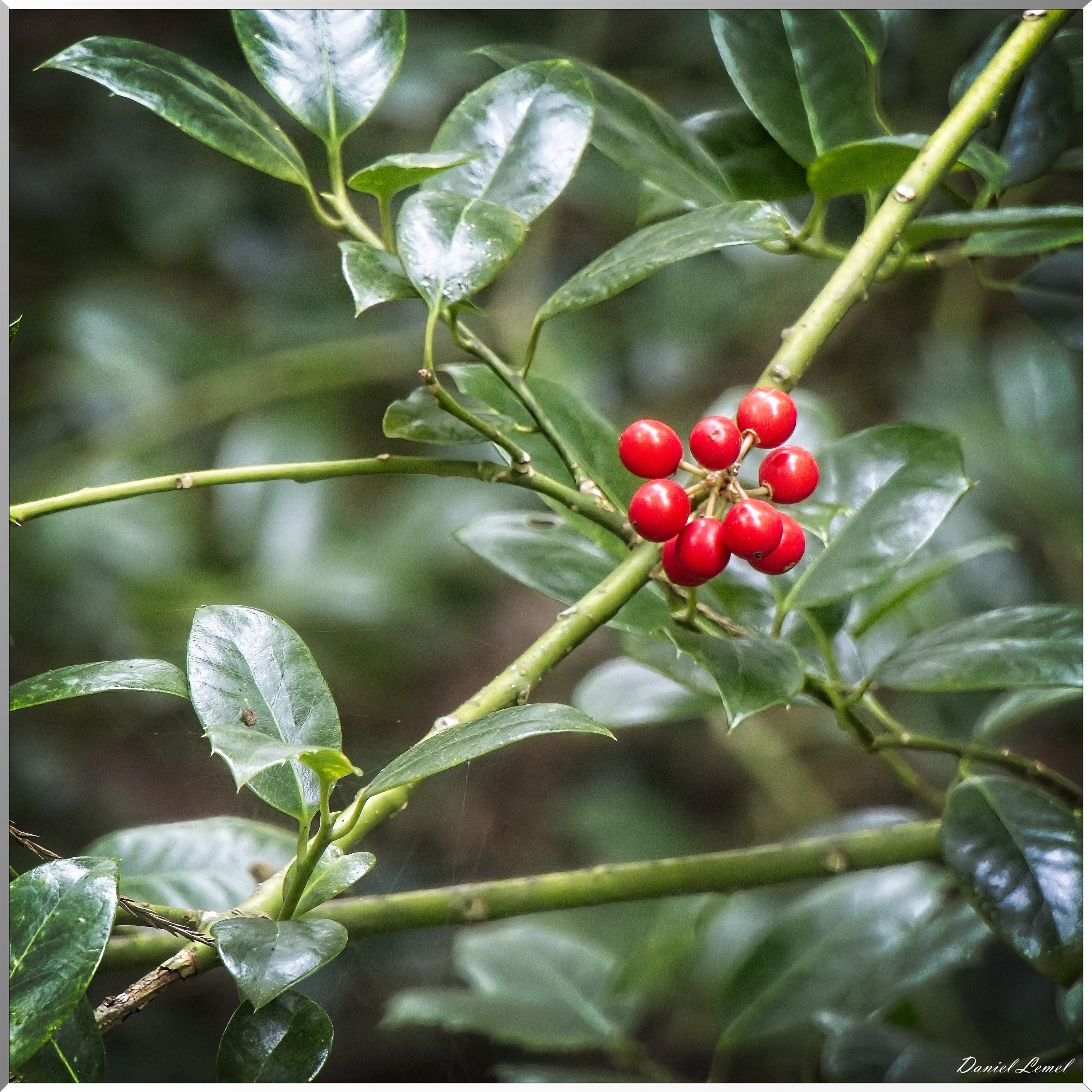 Arboretum de la Roche-Guyon