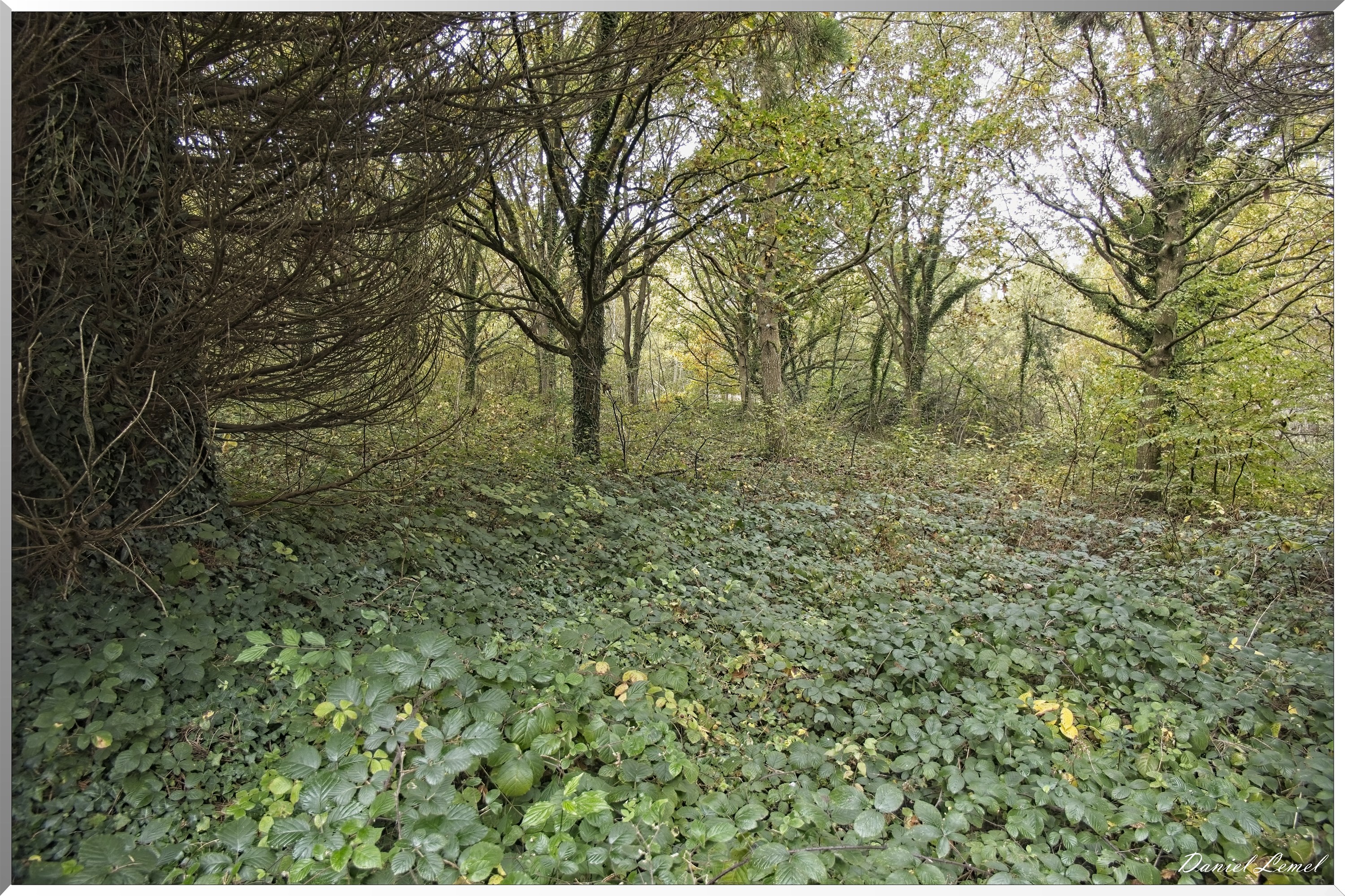 Arboretum de la Roche-Guyon