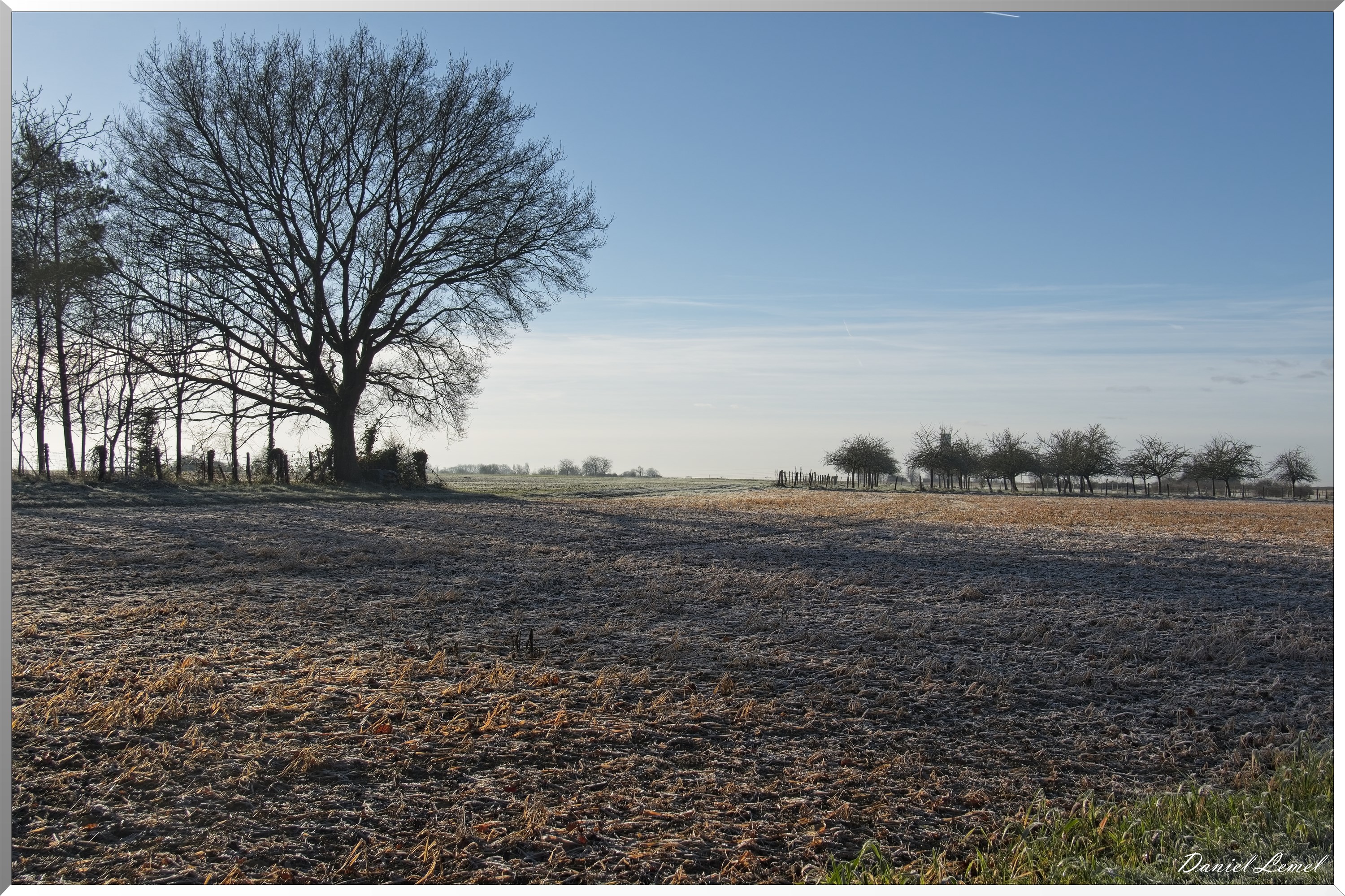 Dormont-Bois-de-Brillehaut