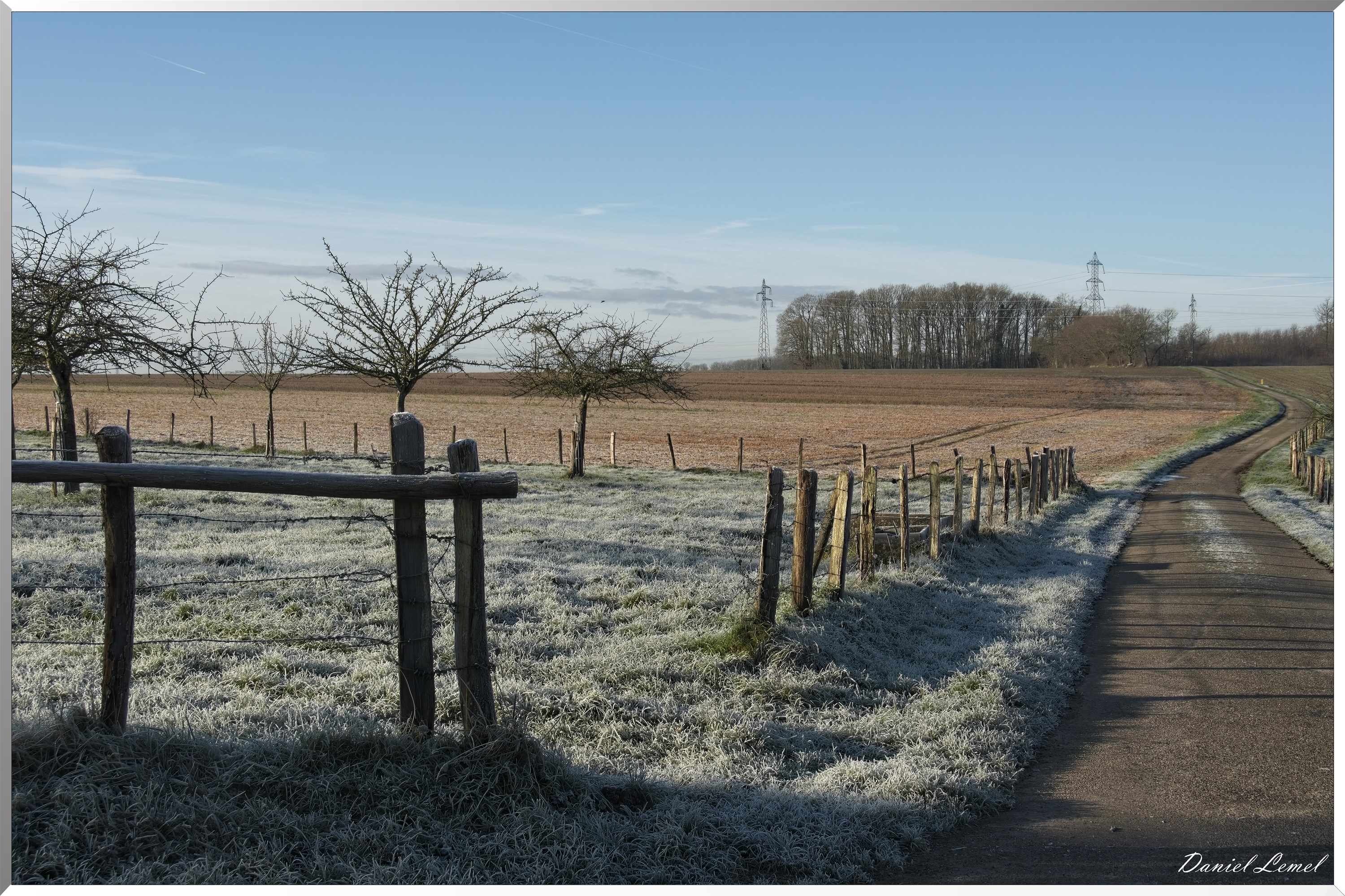 Dormont-Bois-de-Brillehaut