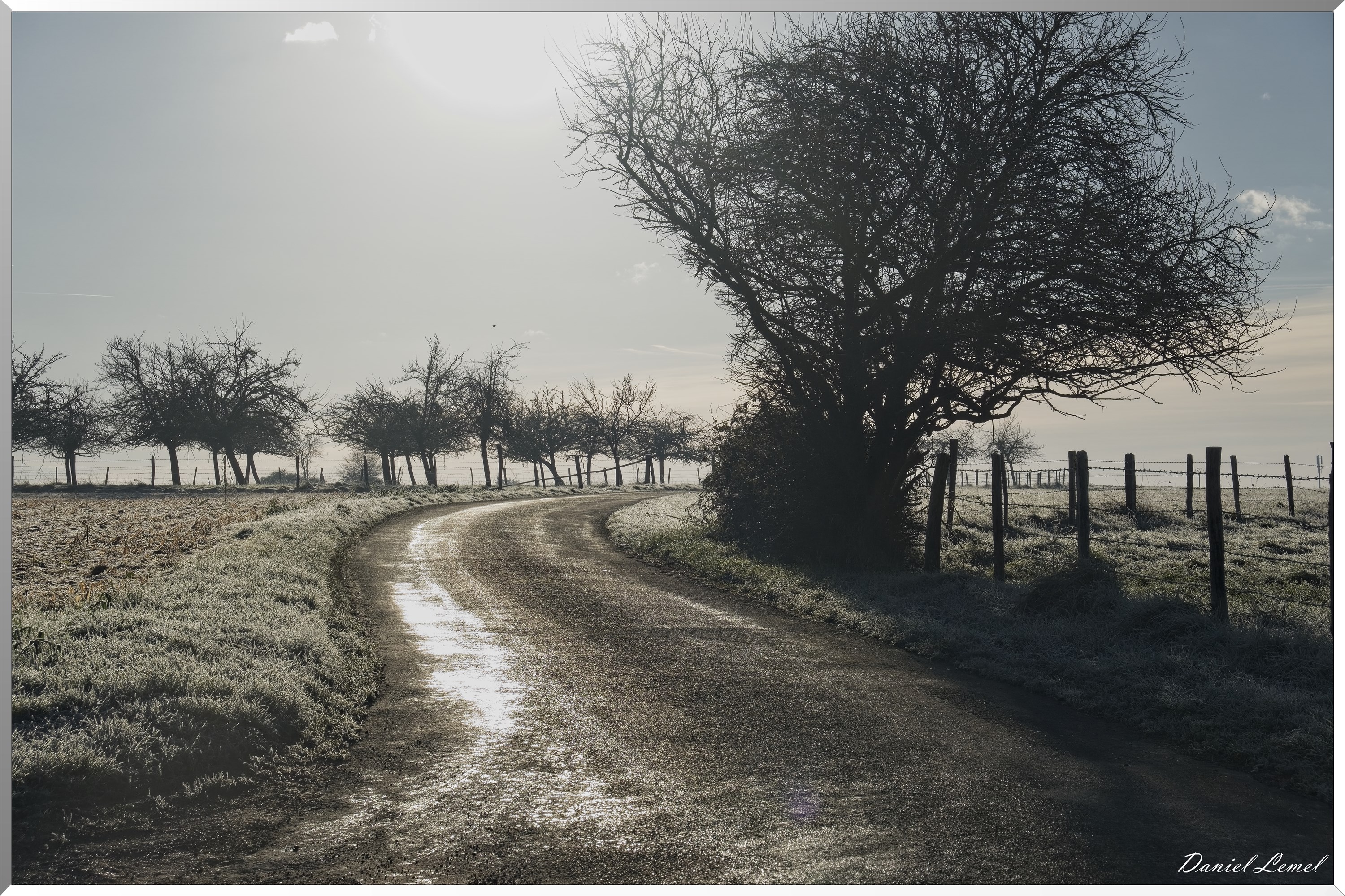 Dormont-Bois-de-Brillehaut