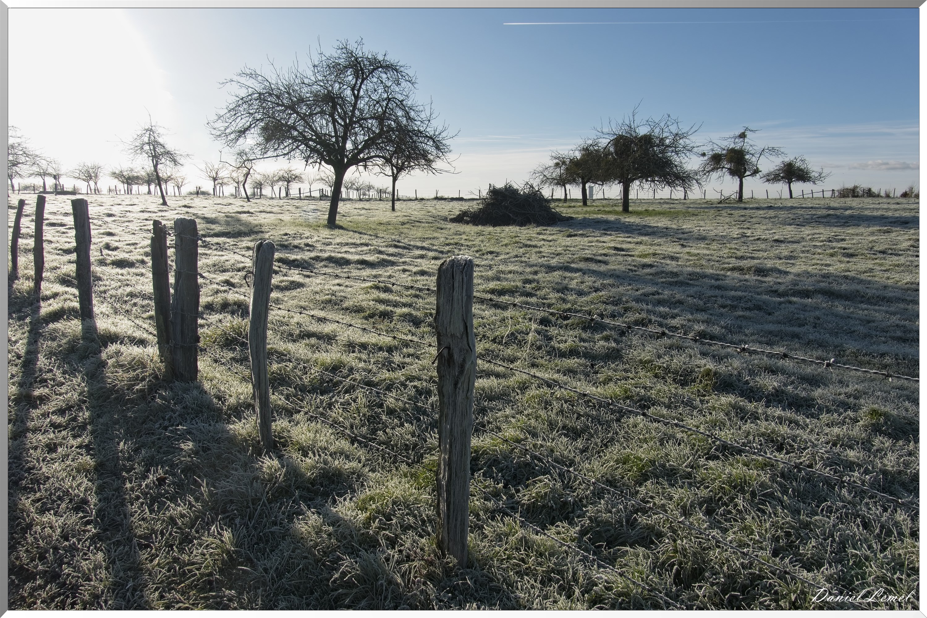 Dormont-Bois-de-Brillehaut