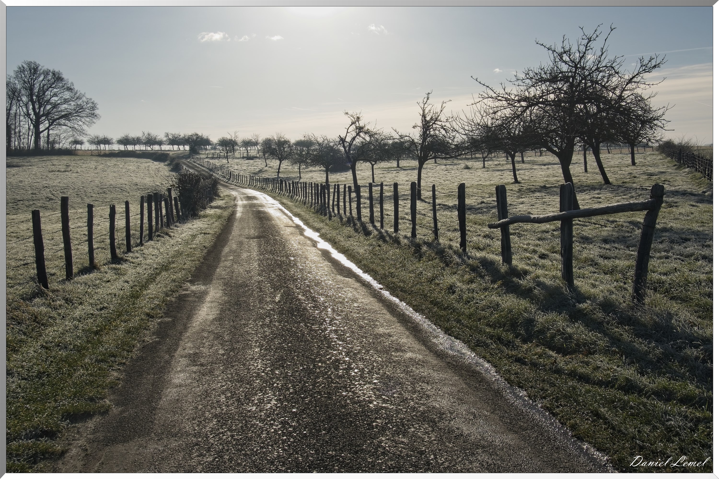 Dormont-Bois-de-Brillehaut