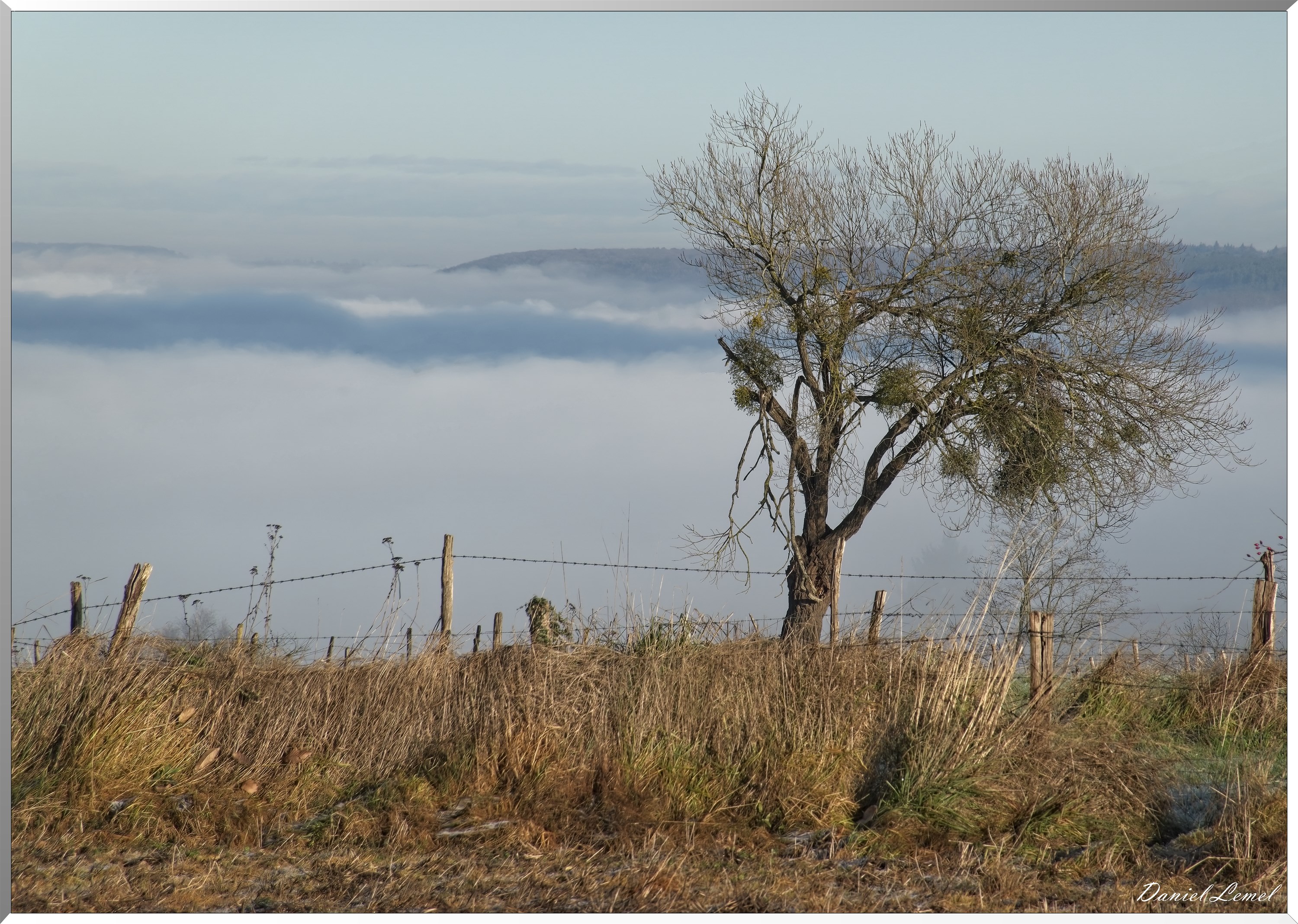 Dormont-Bois-de-Brillehaut