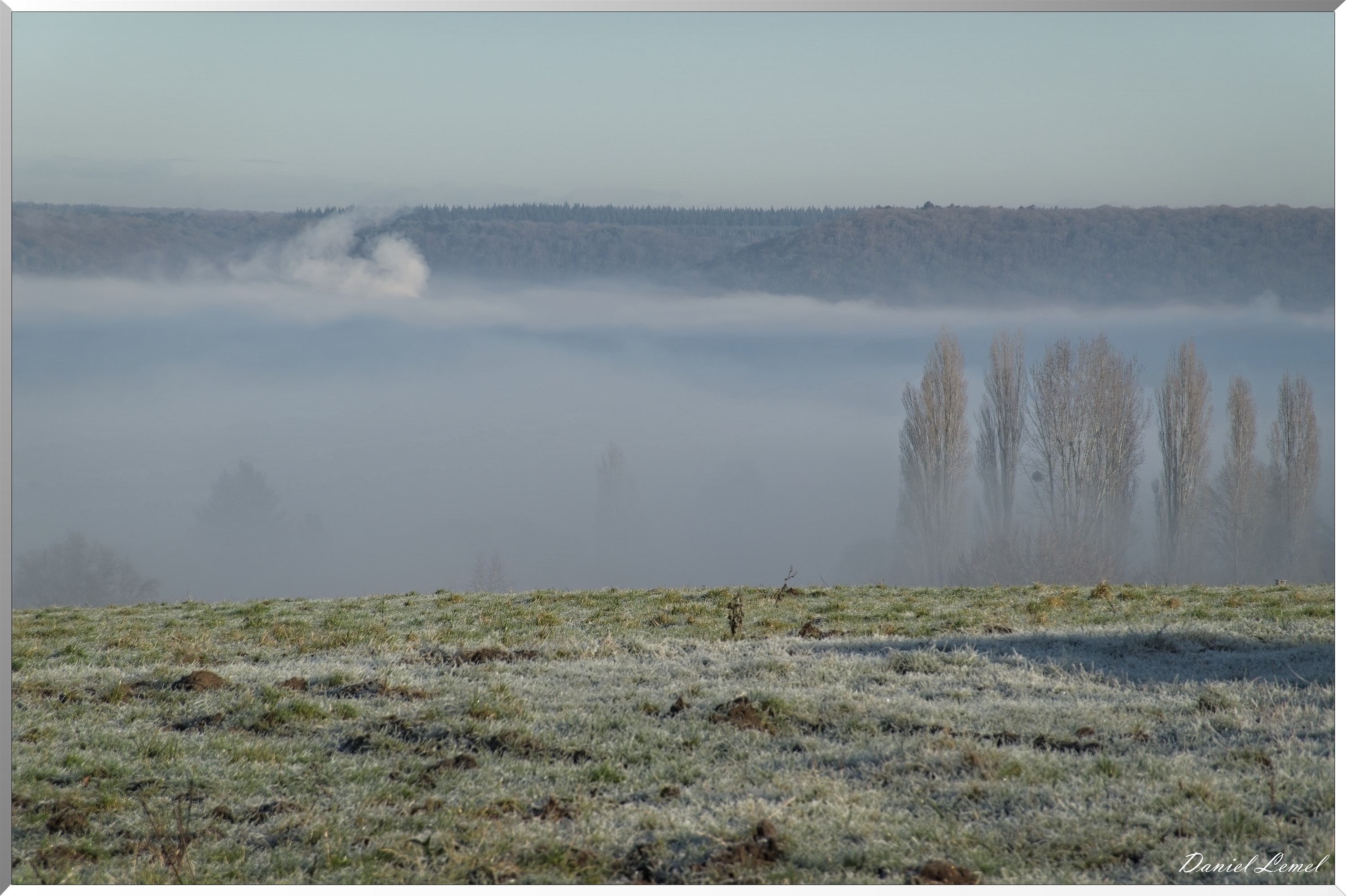 Dormont-Bois-de-Brillehaut