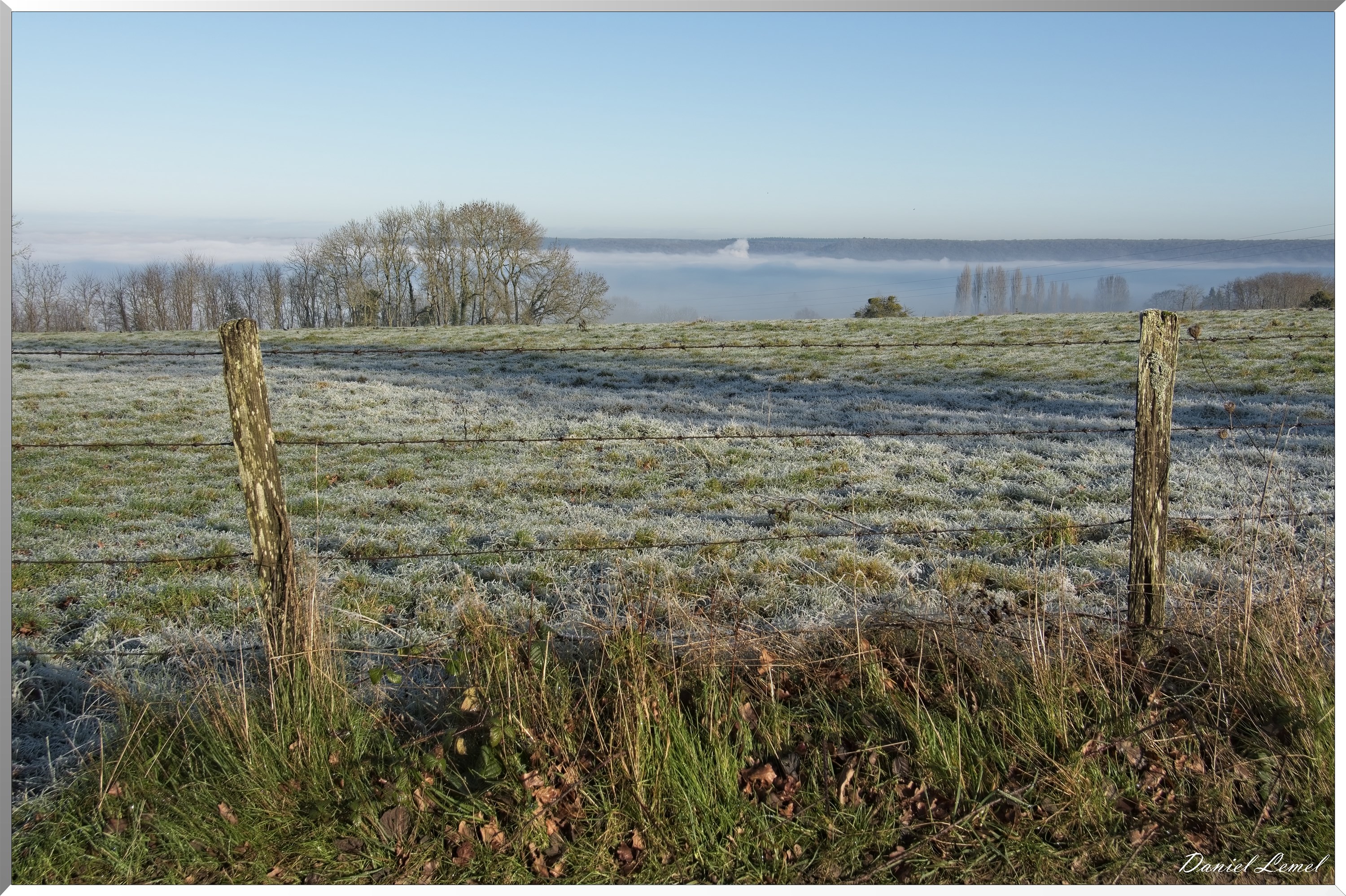 Dormont-Bois-de-Brillehaut