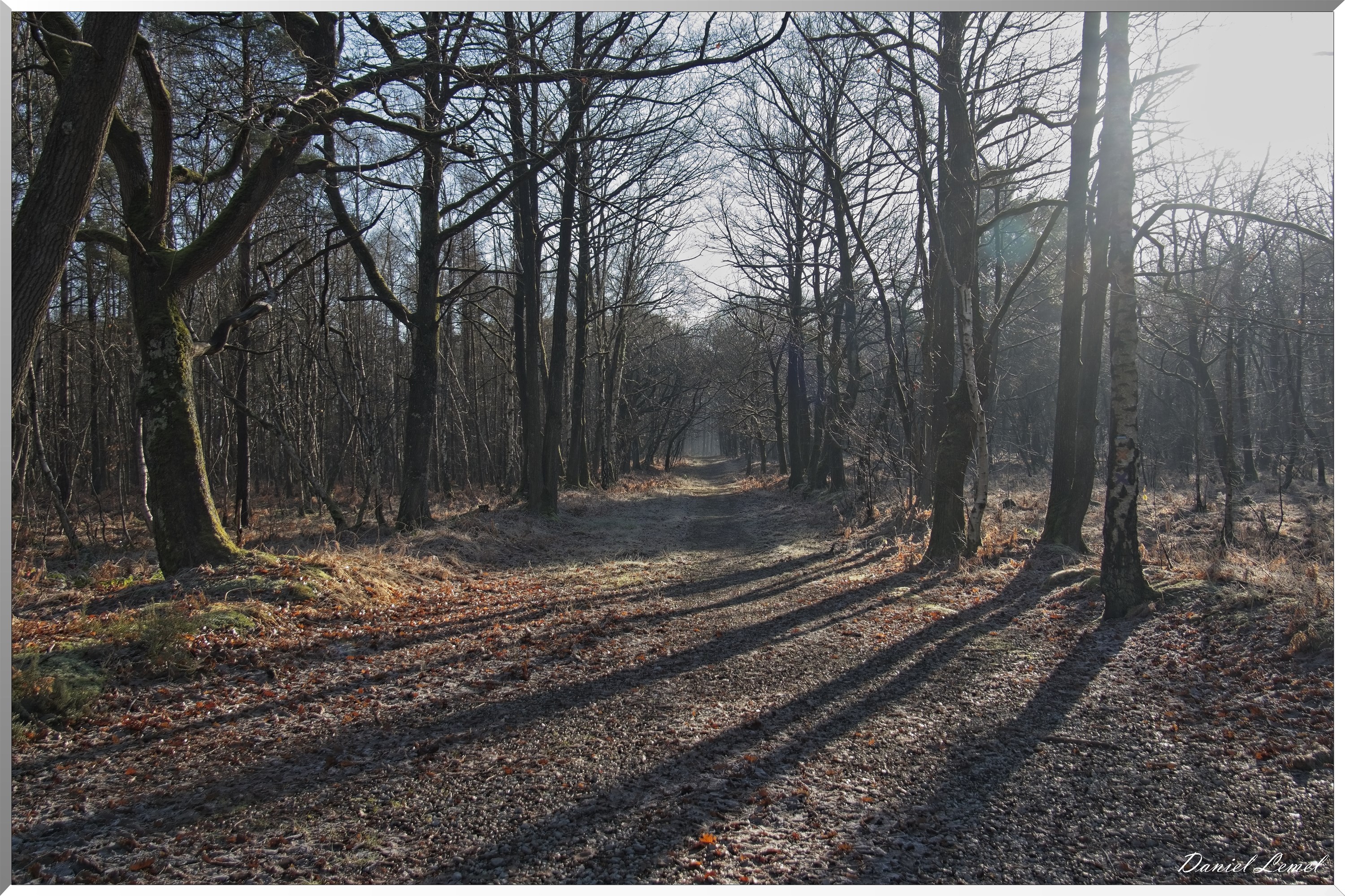 Dormont-Bois-de-Brillehaut