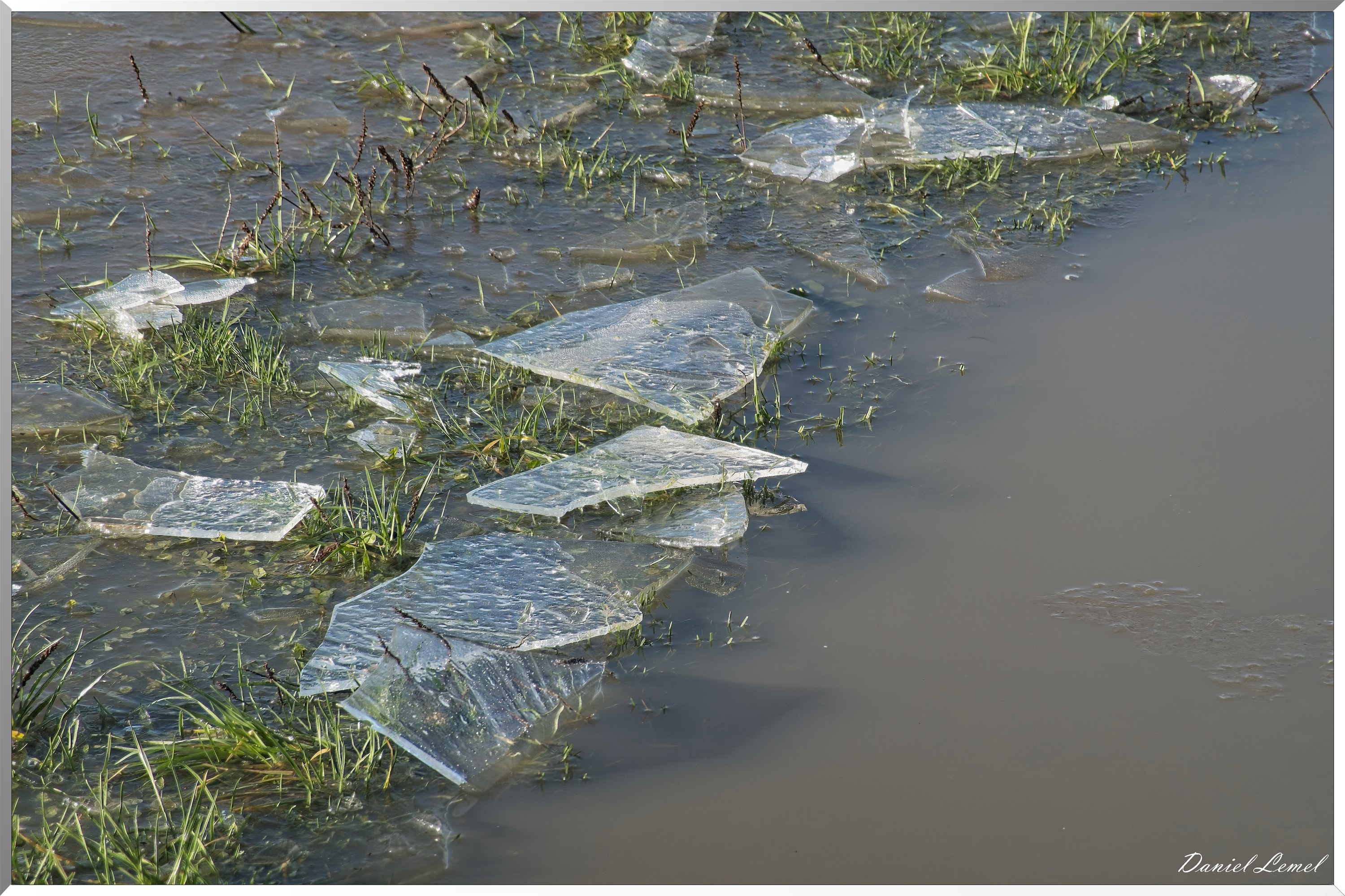 Dormont-Bois-de-Brillehaut