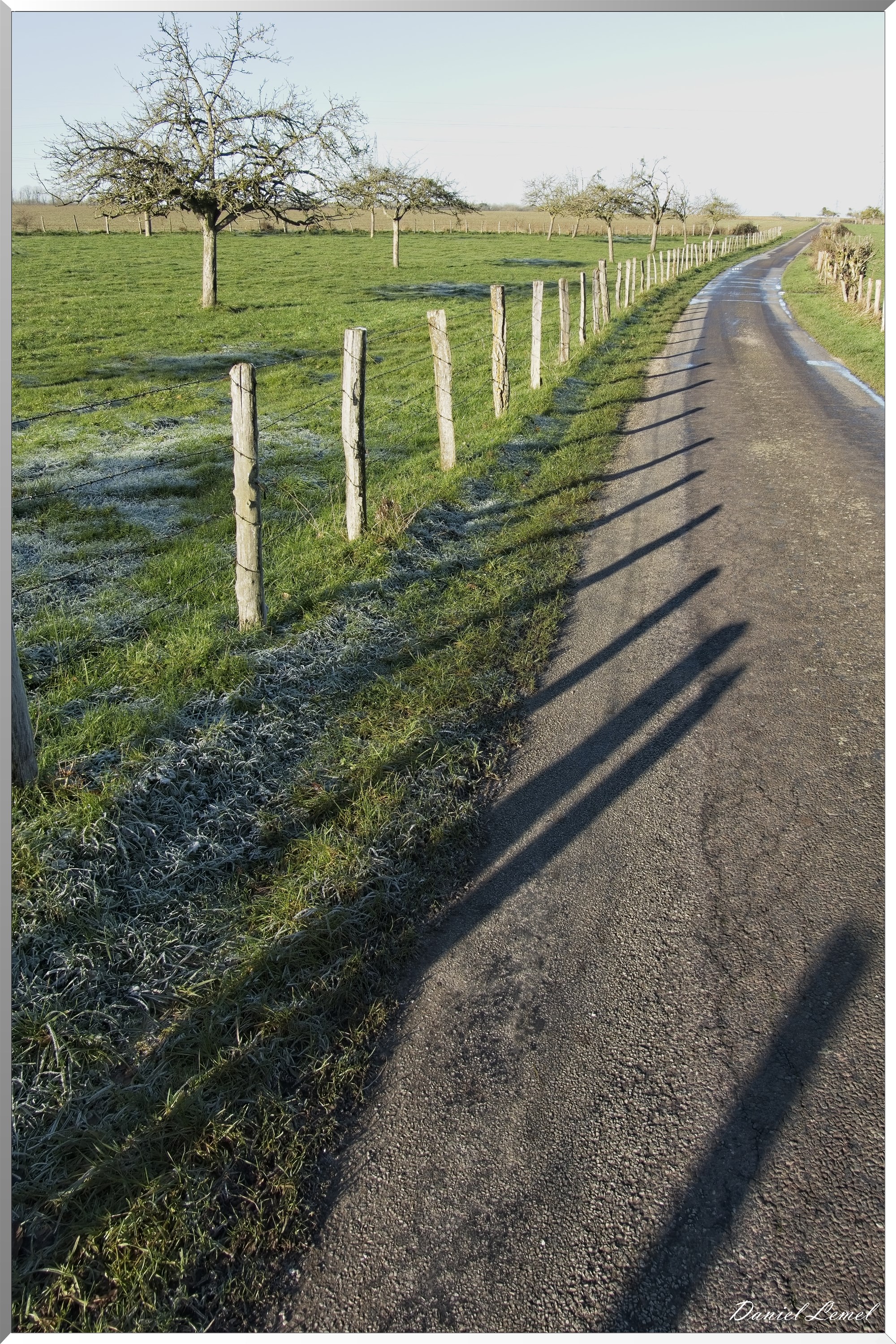 Dormont-Bois-de-Brillehaut