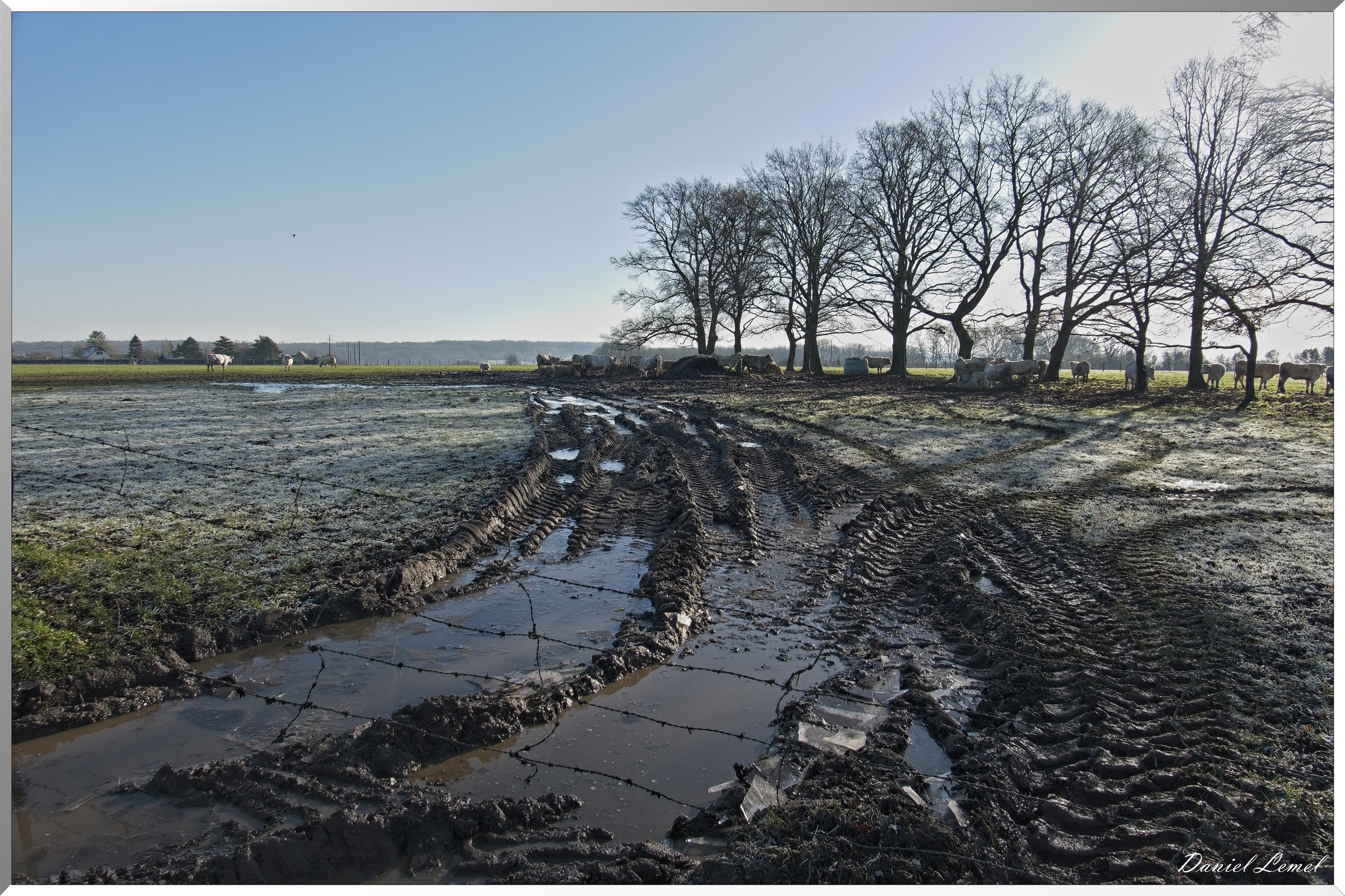 Dormont-Bois-de-Brillehaut