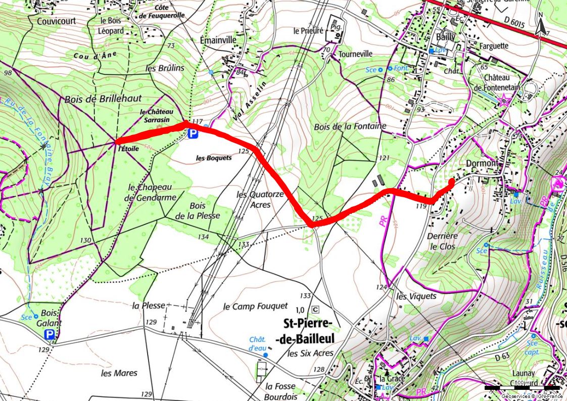 03-01-2025 - Dormont - Bois-de-Brillehaut (Hors groupe)
