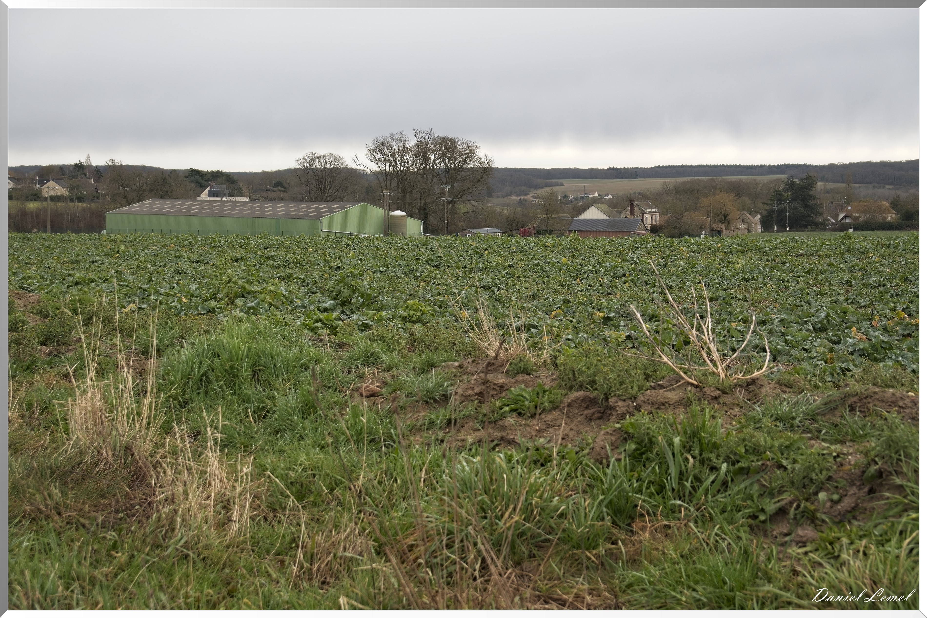 La-Chapelle-Réanville
