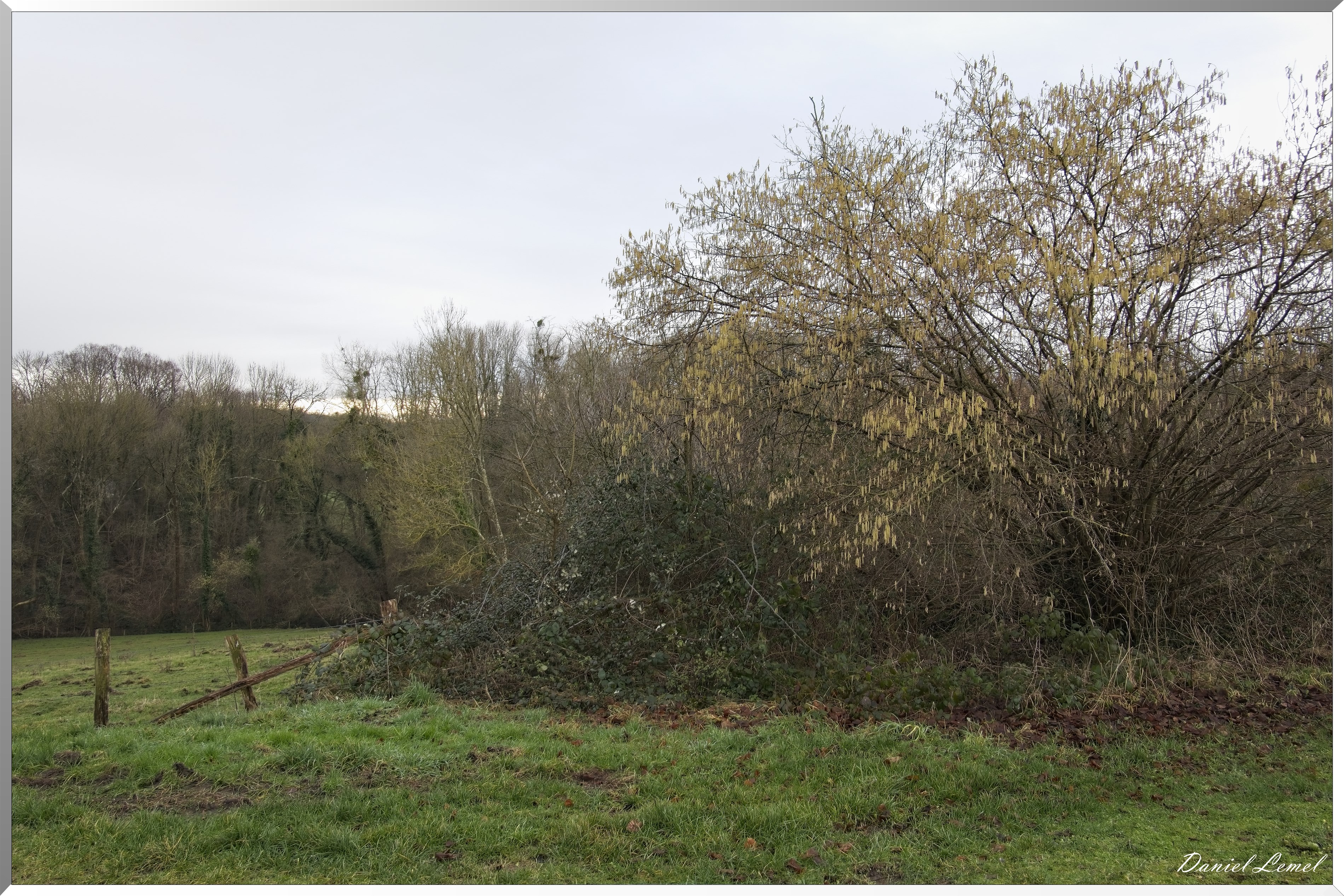 La-Chapelle-Réanville