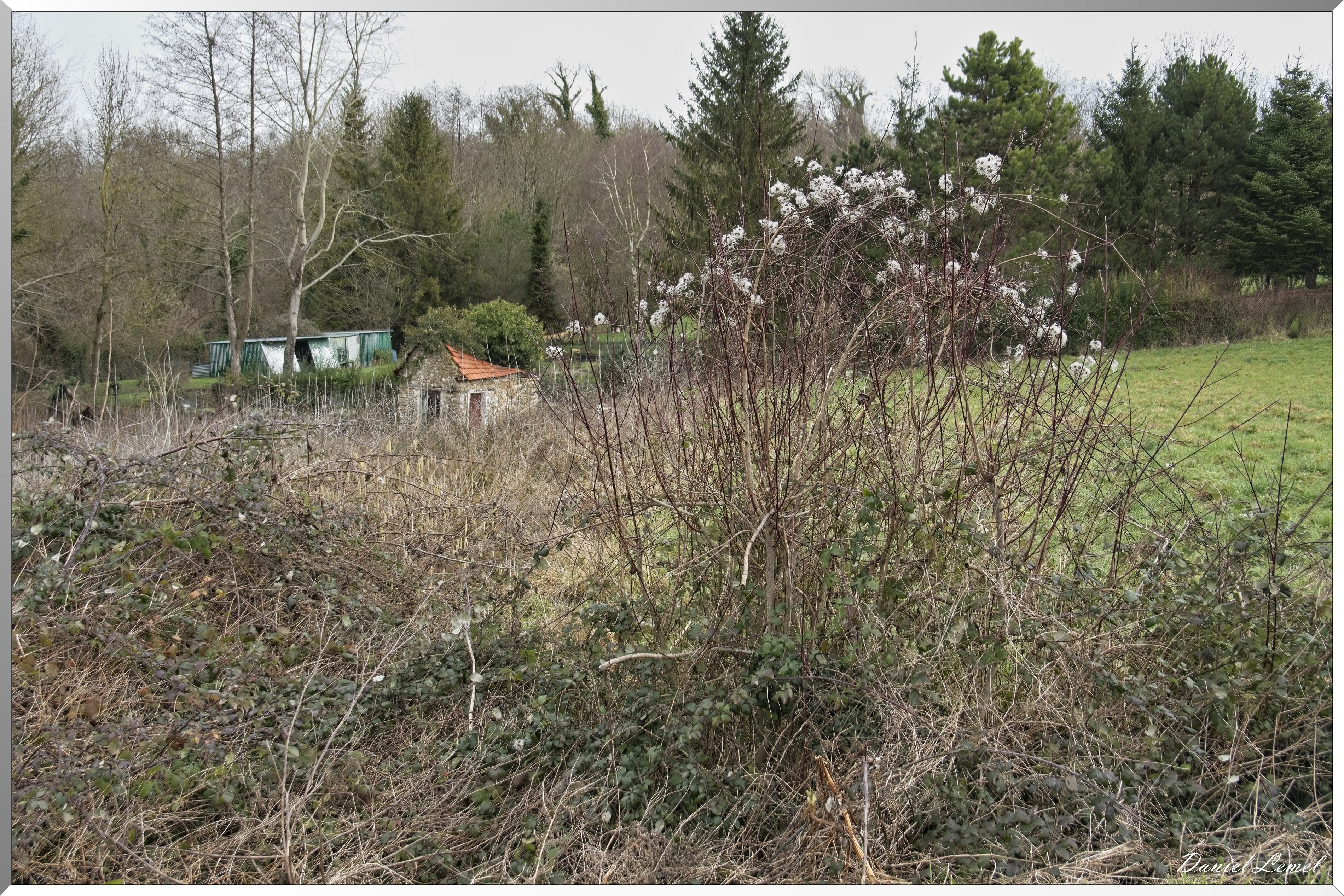 La-Chapelle-Réanville