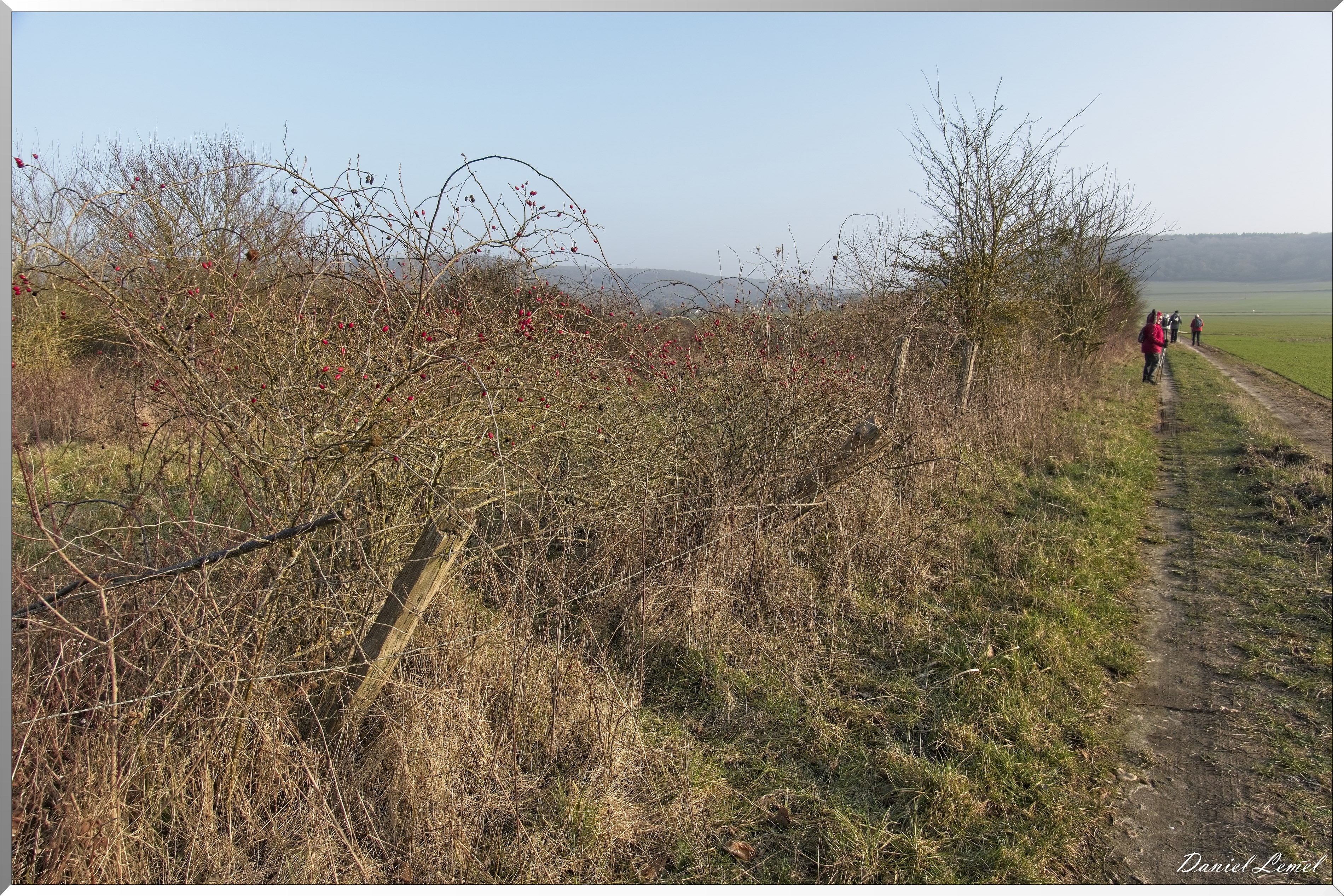 Notre-Dame-de-l'Isle