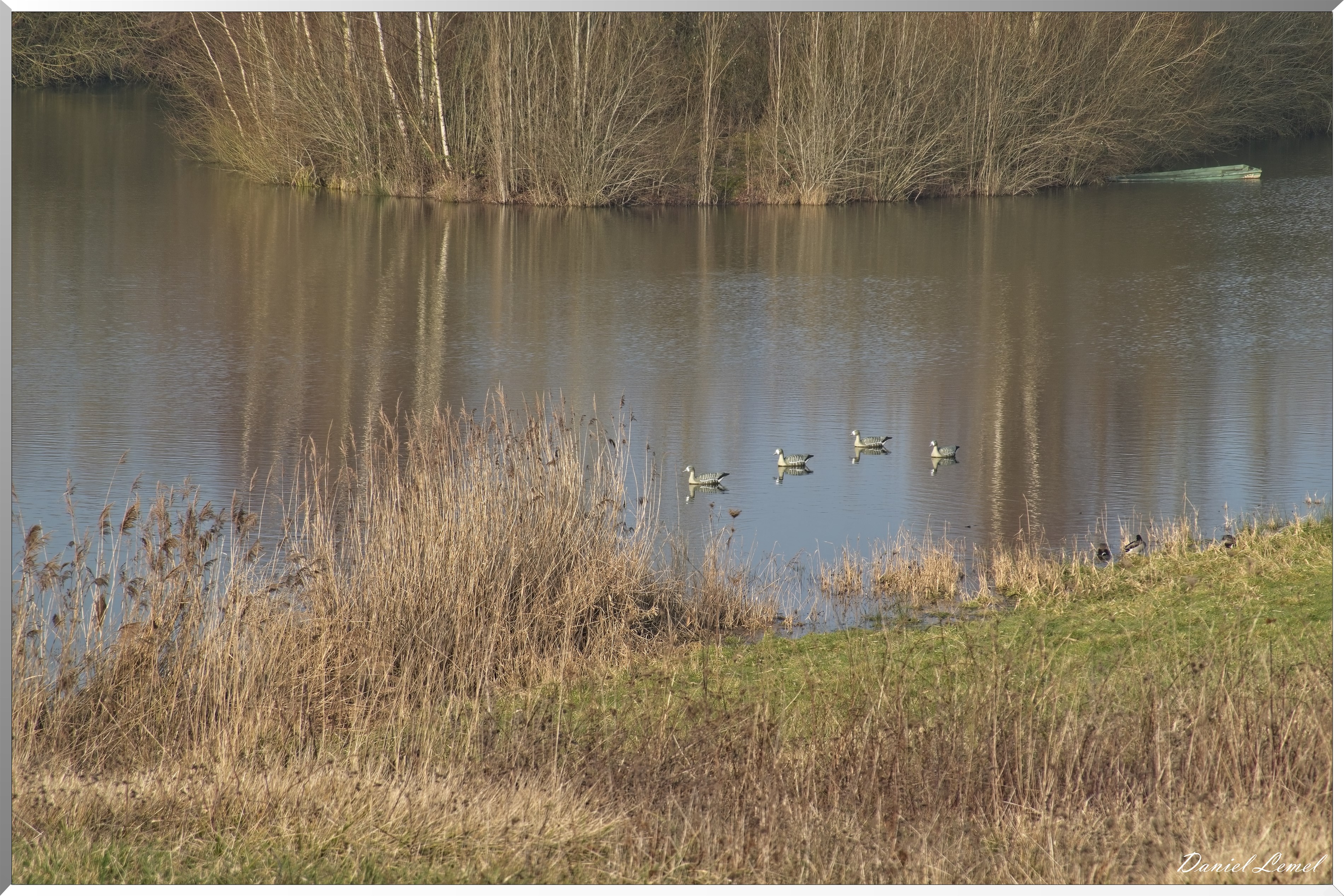 Notre-Dame-de-l'Isle