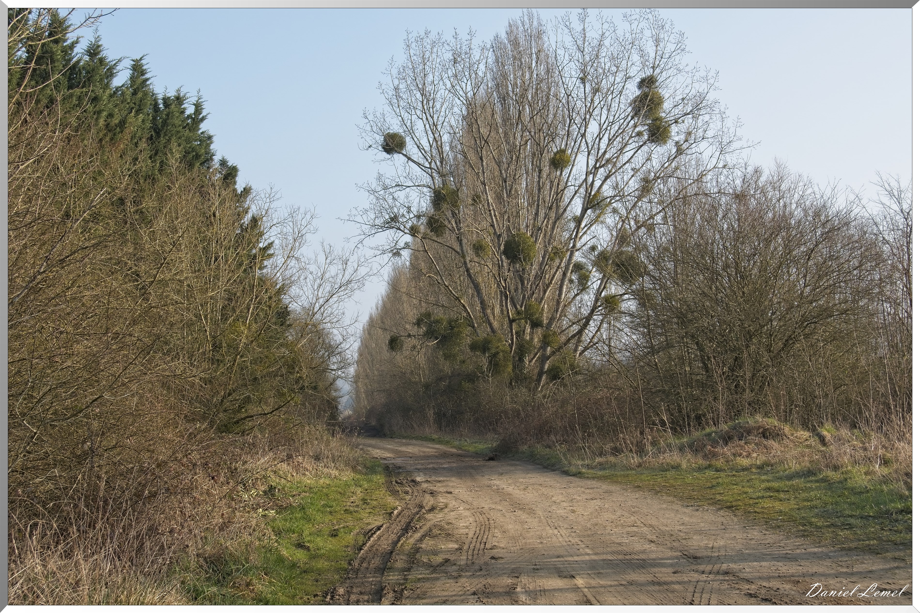 Notre-Dame-de-l'Isle