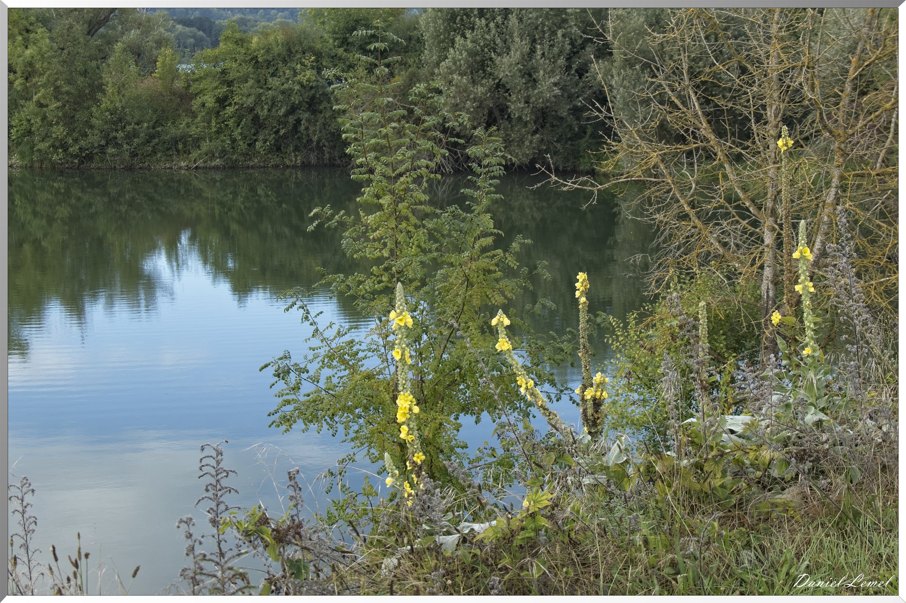 La Rive sous Venables